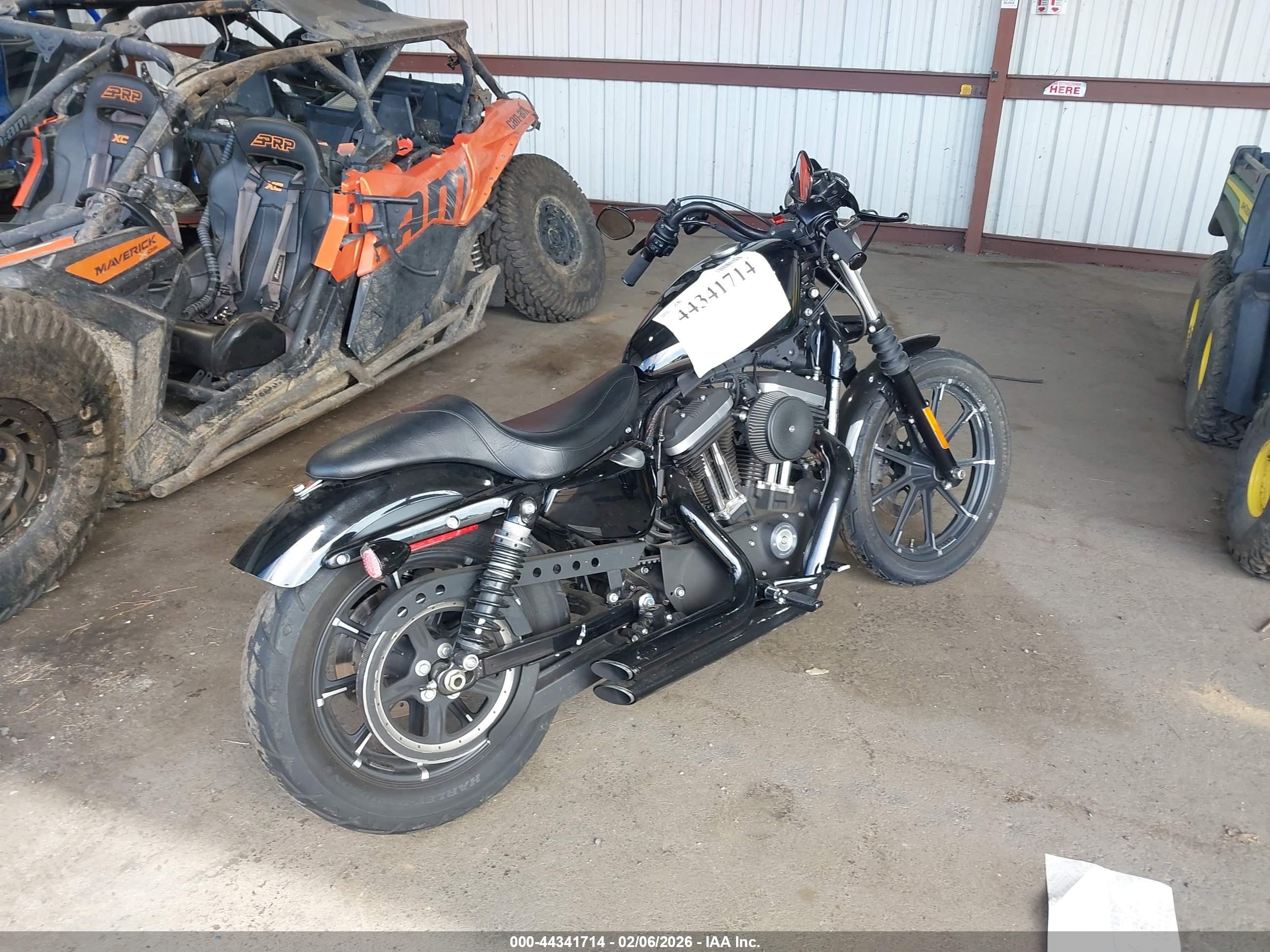 HARLEY-DAVIDSON XL883 image 4