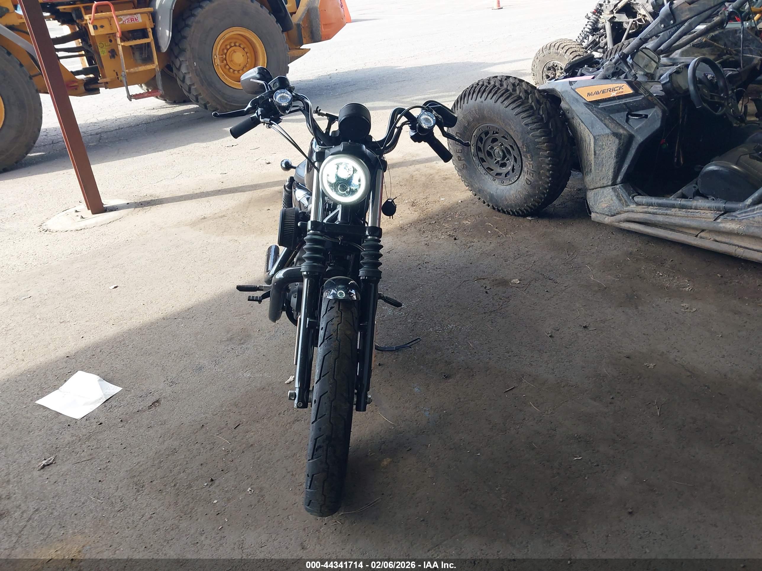 HARLEY-DAVIDSON XL883 image 5