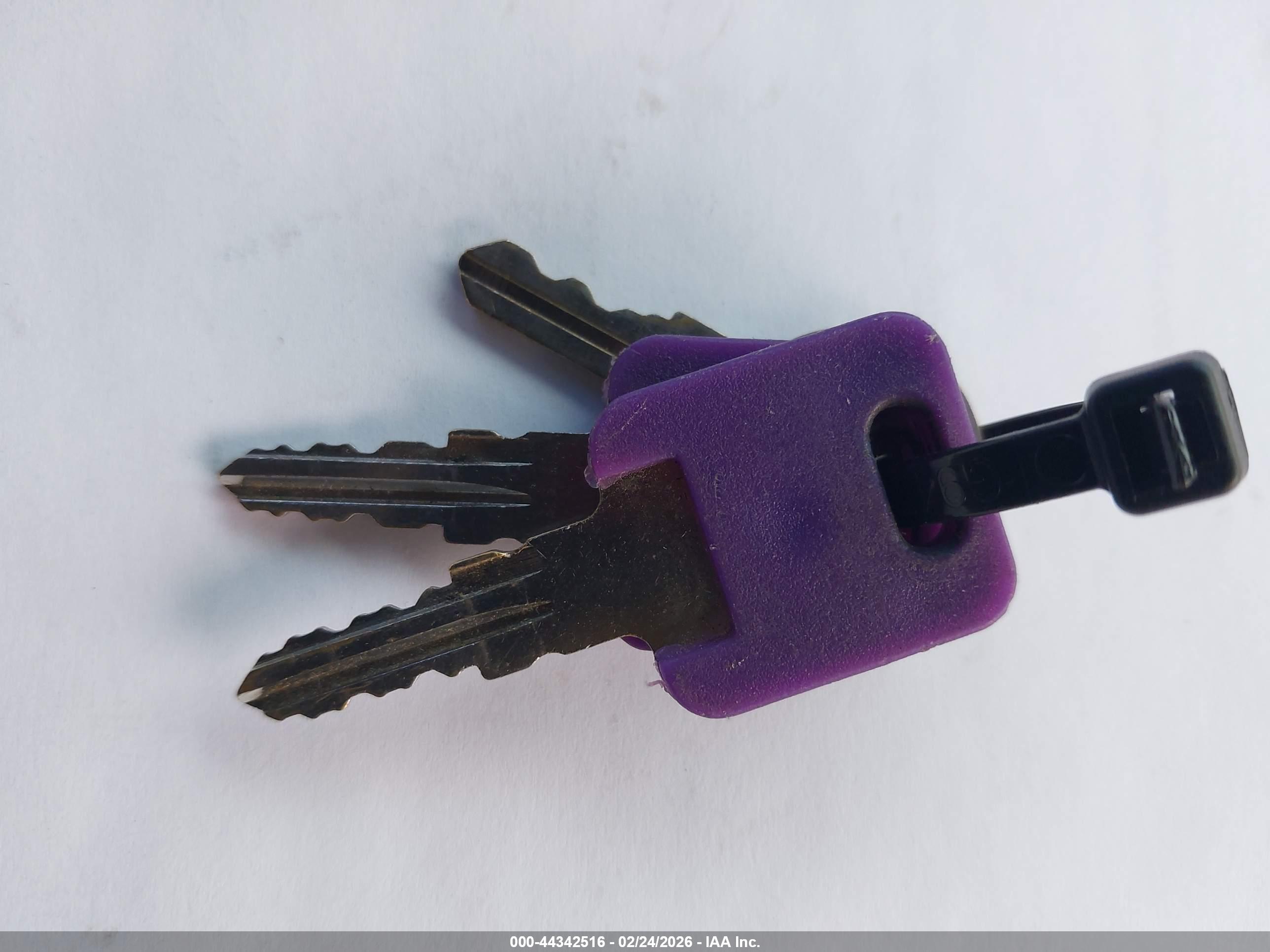 GRAND DESIGN image 11