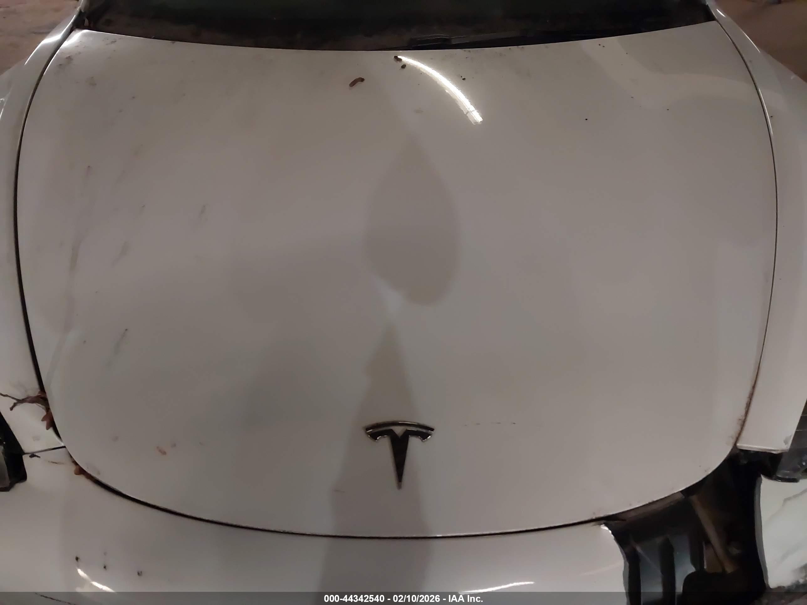 TESLA MODEL image 10