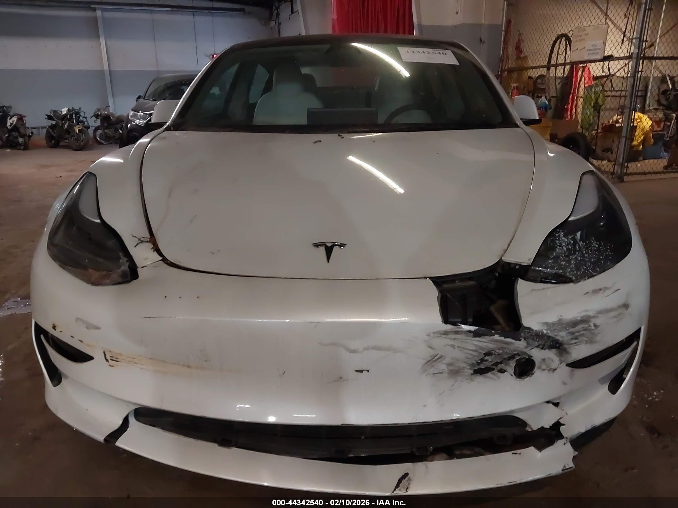 TESLA MODEL image 6