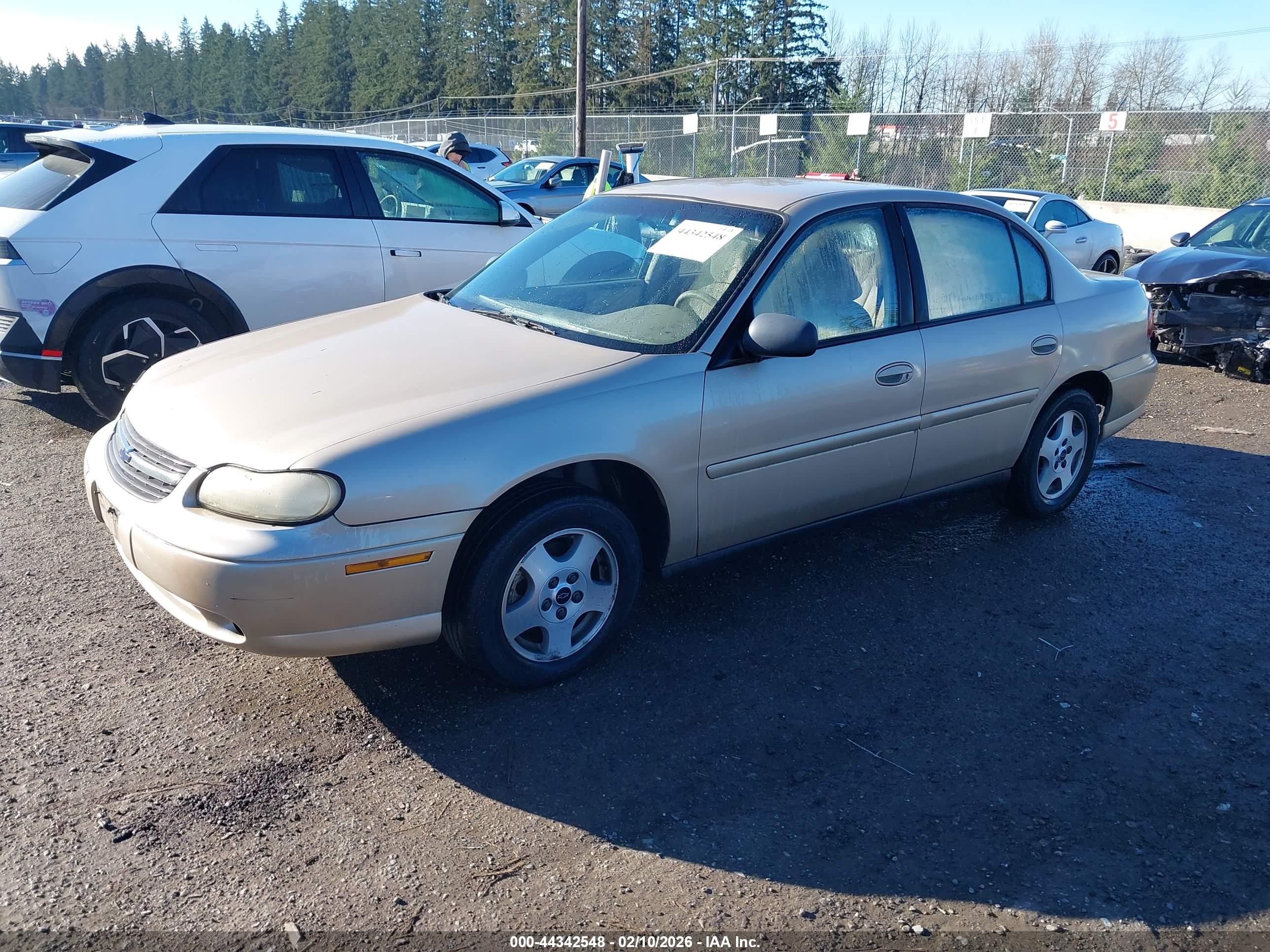 CHEVROLET MALIBU image 2