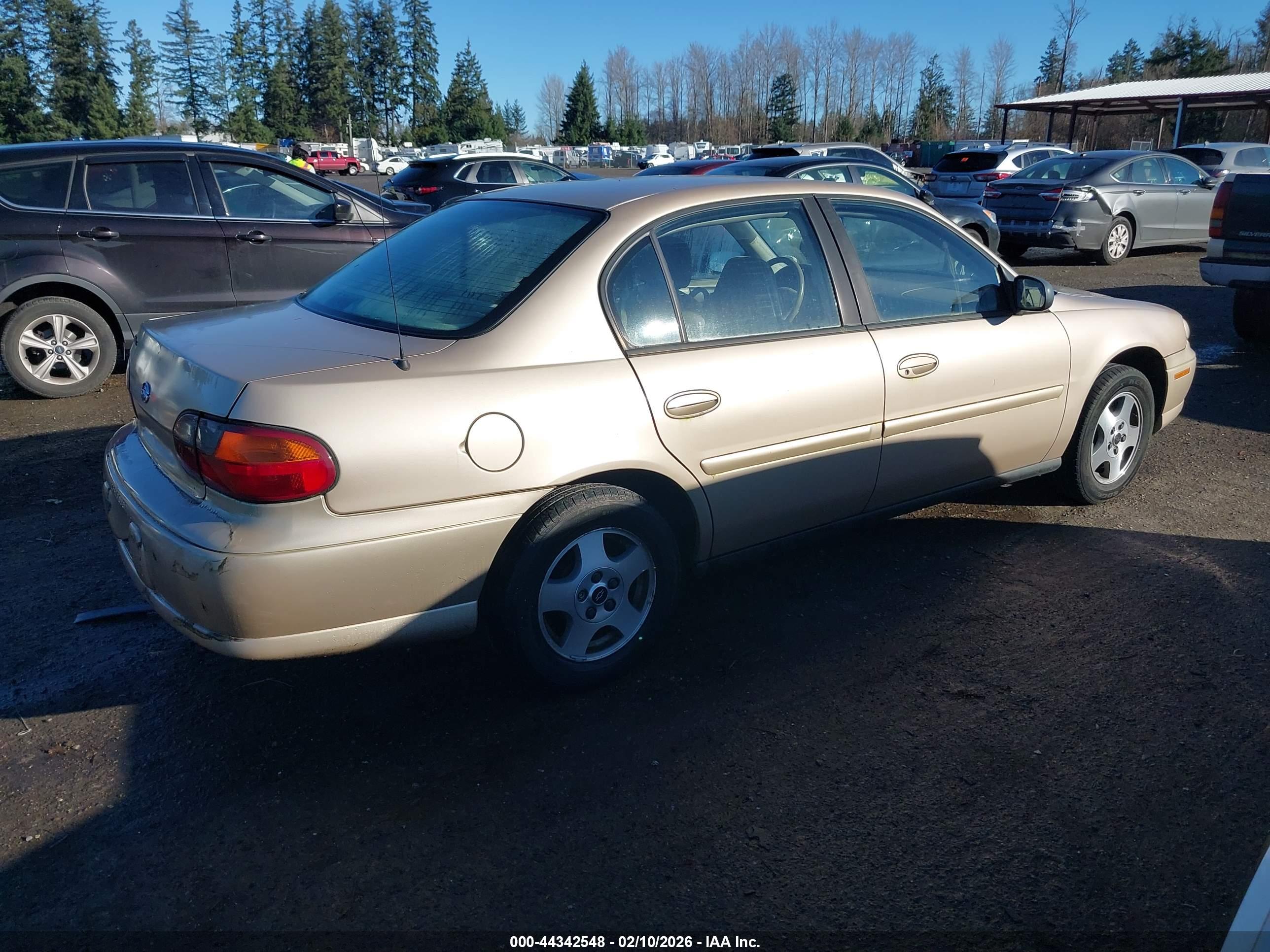 CHEVROLET MALIBU image 4