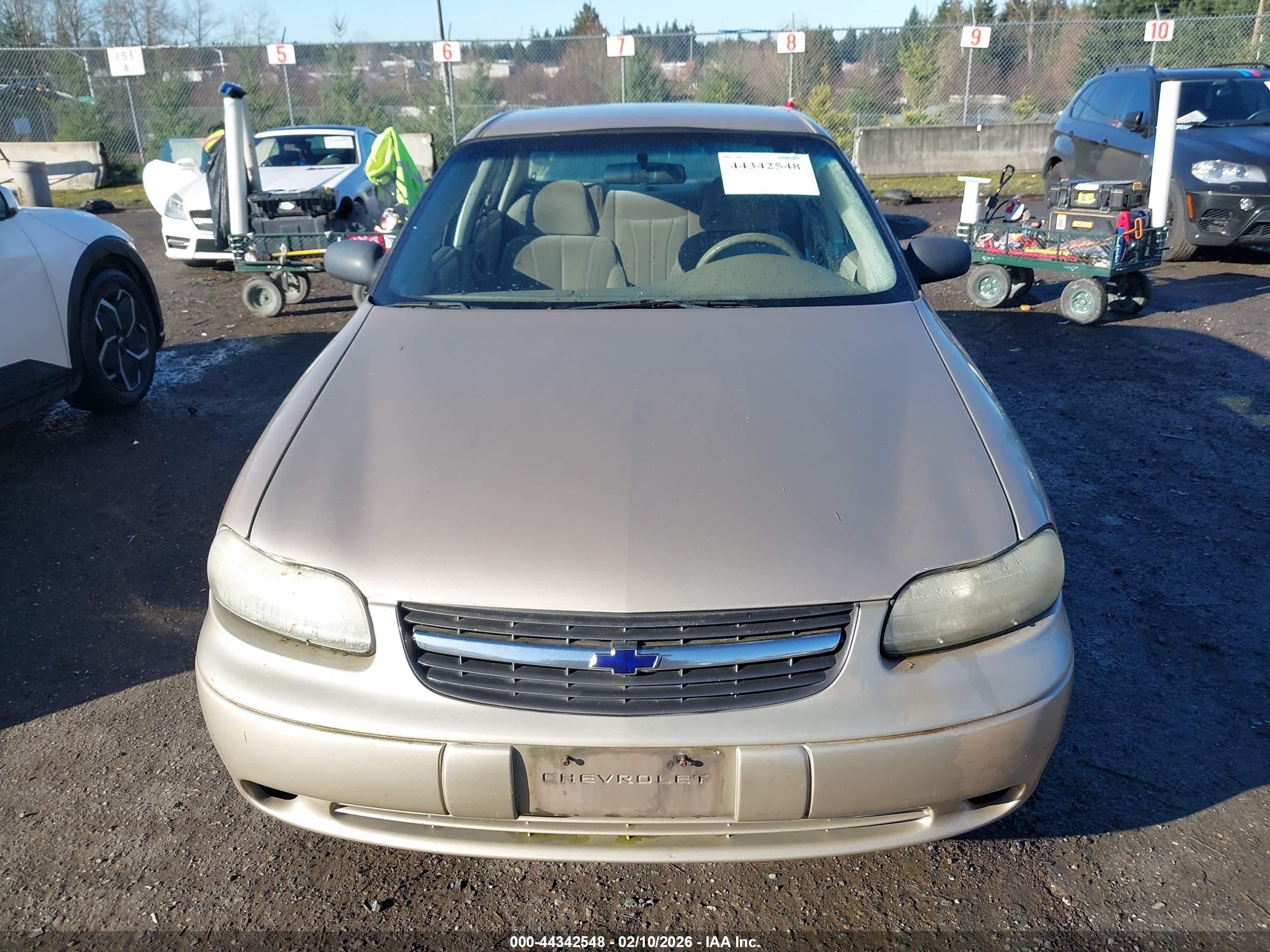 CHEVROLET MALIBU image 6