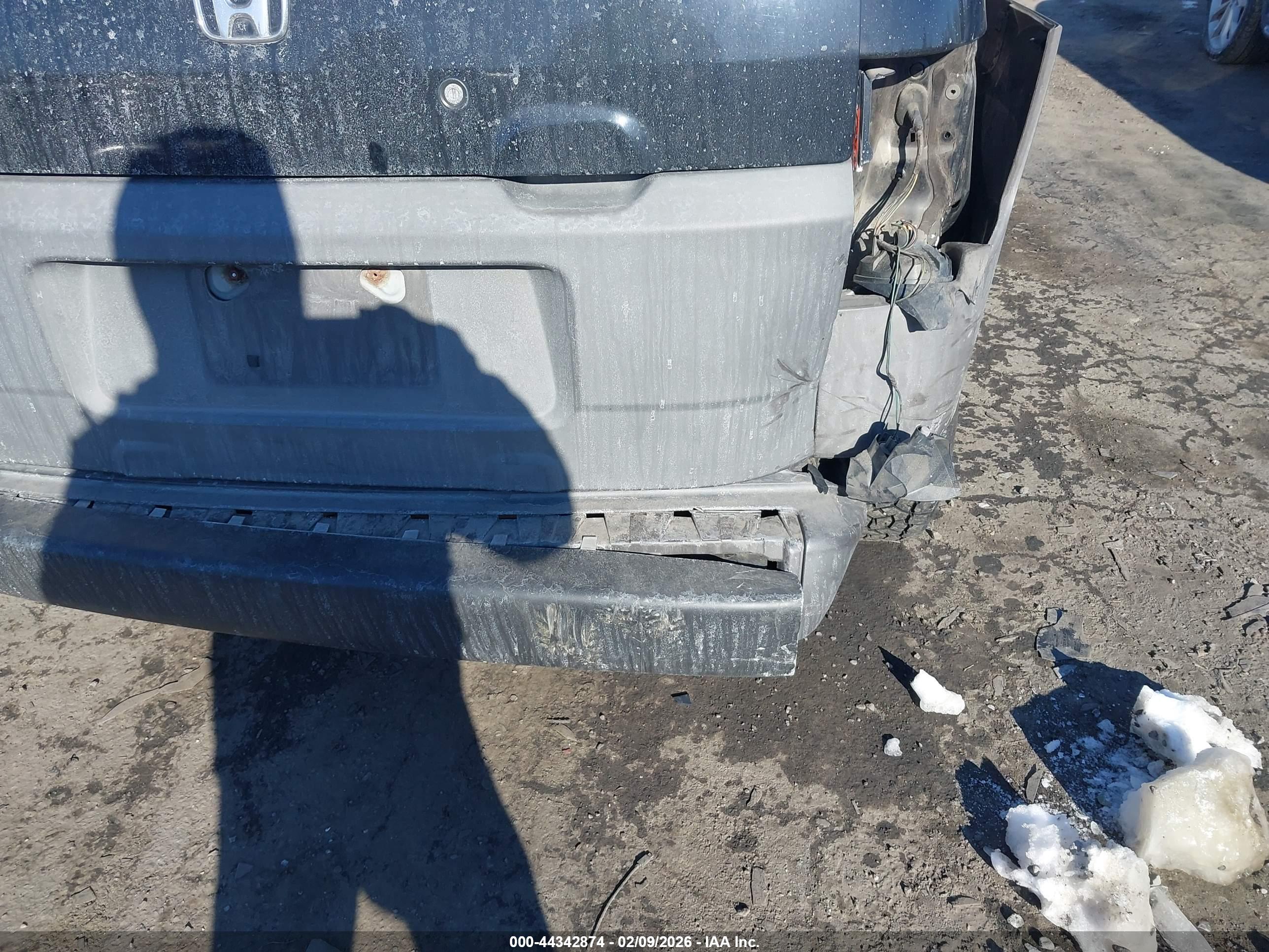 HONDA ELEMENT image 6
