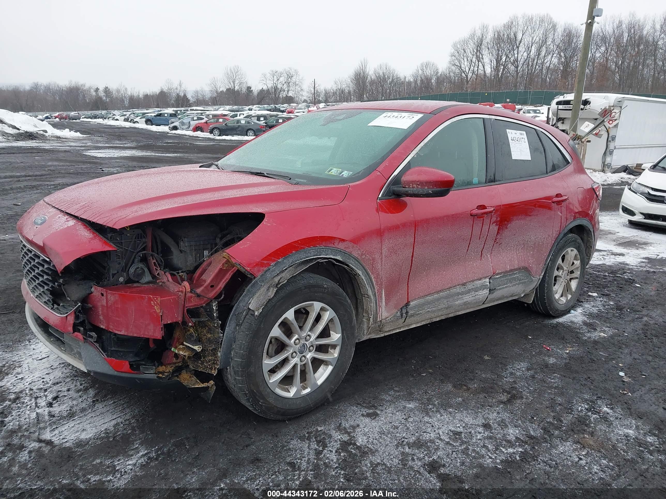 FORD ESCAPE image 2
