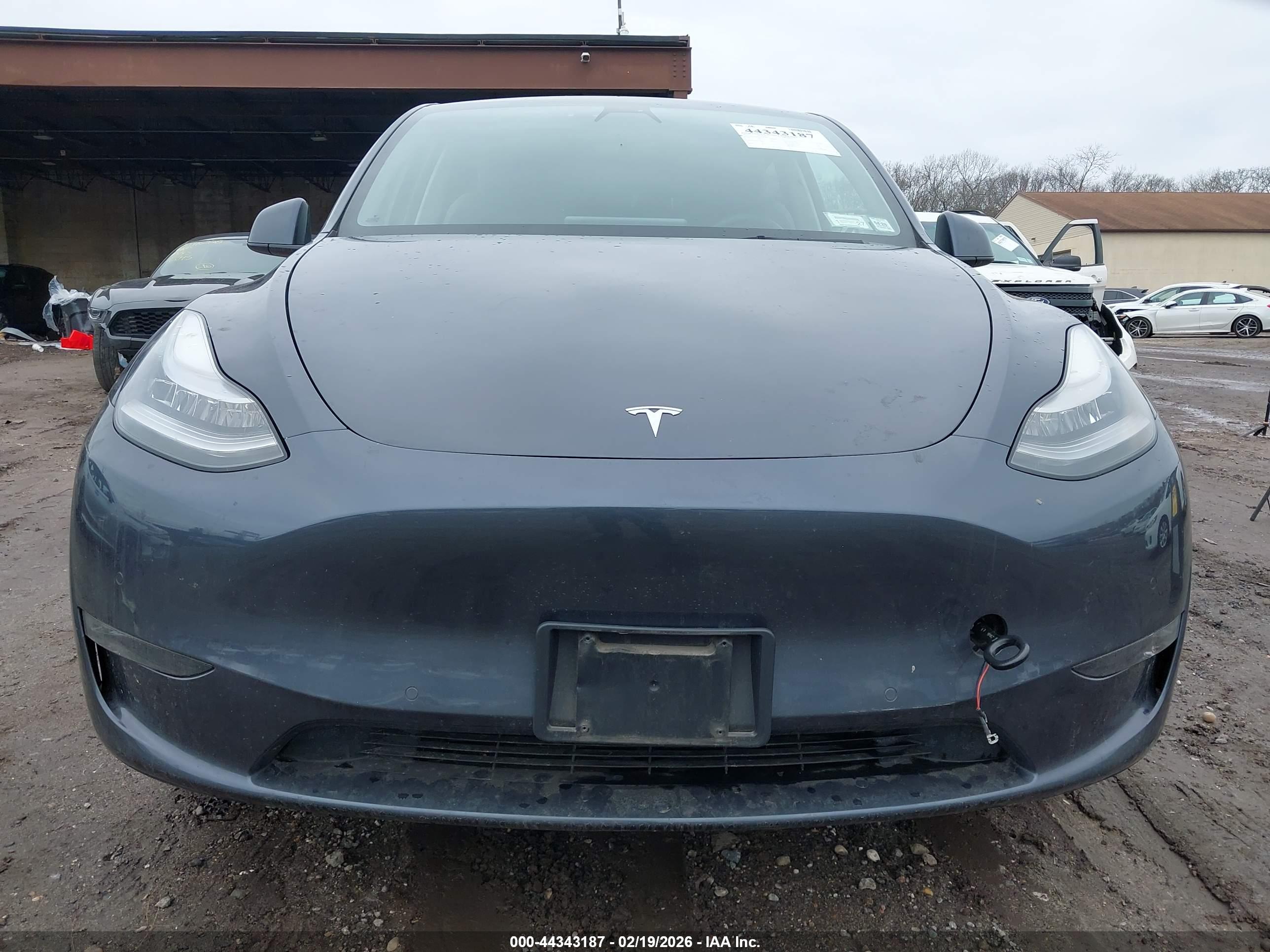 TESLA MODEL image 6