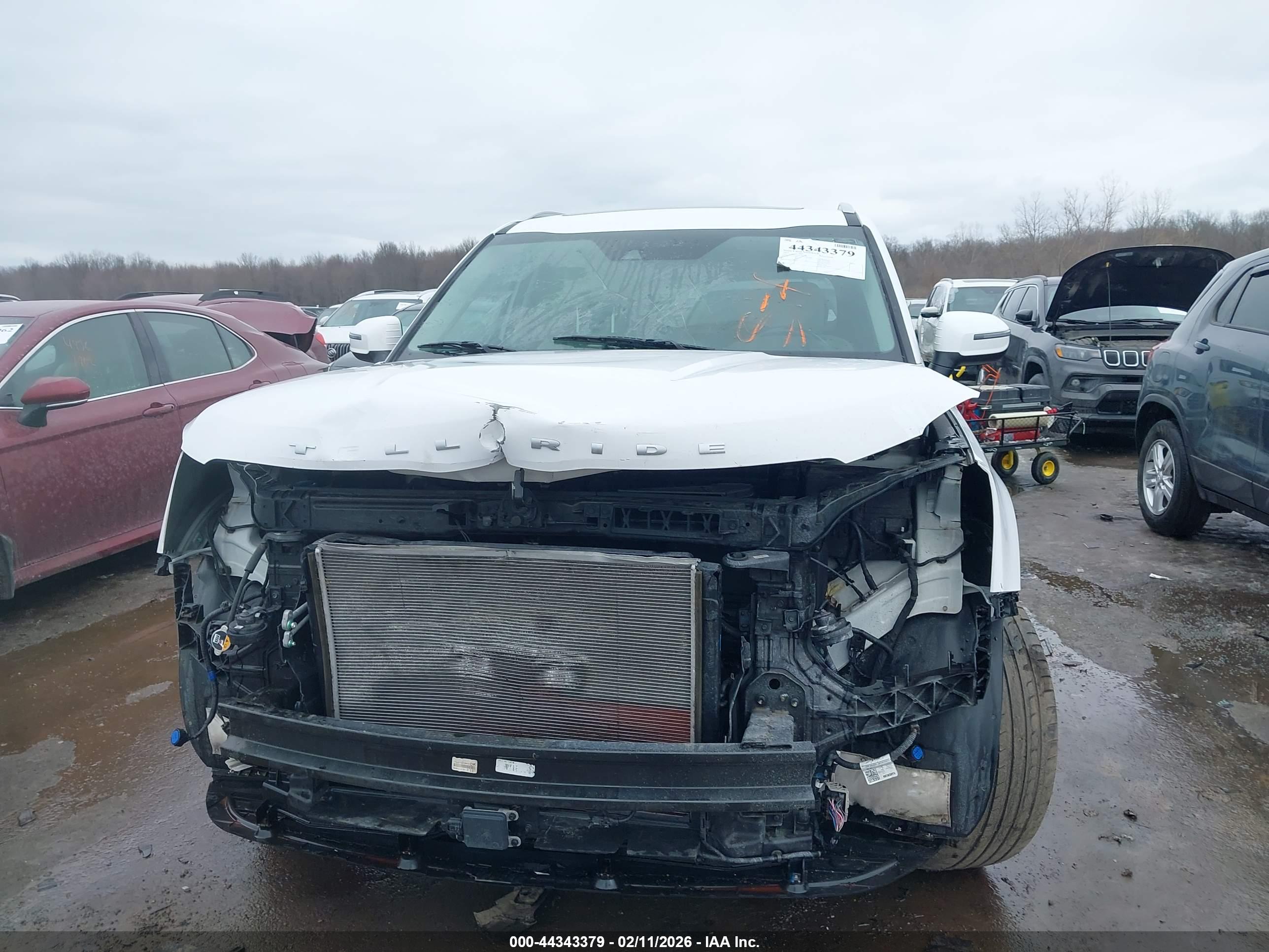 KIA TELLURIDE image 6