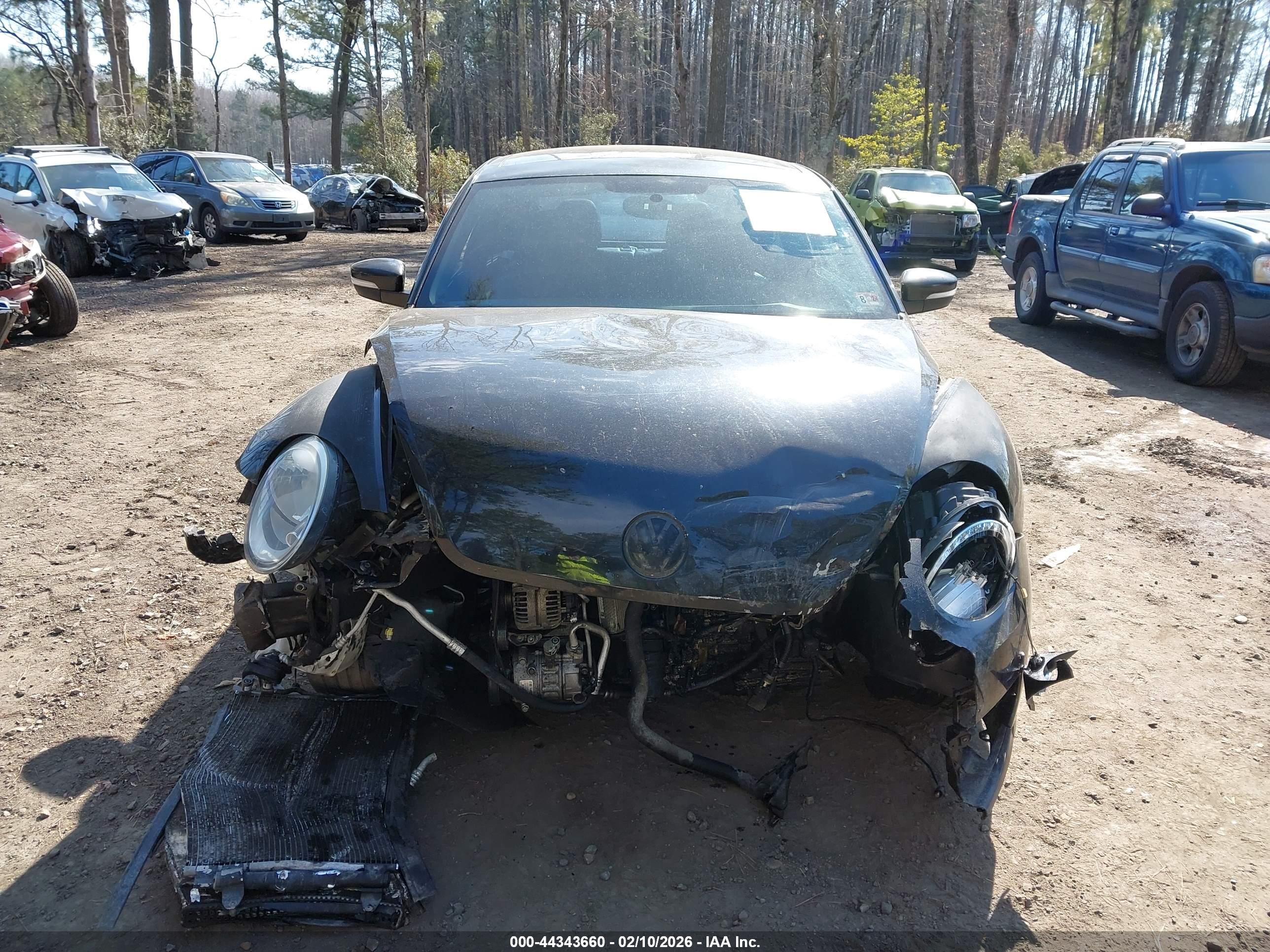 VOLKSWAGEN BEETLE image 6