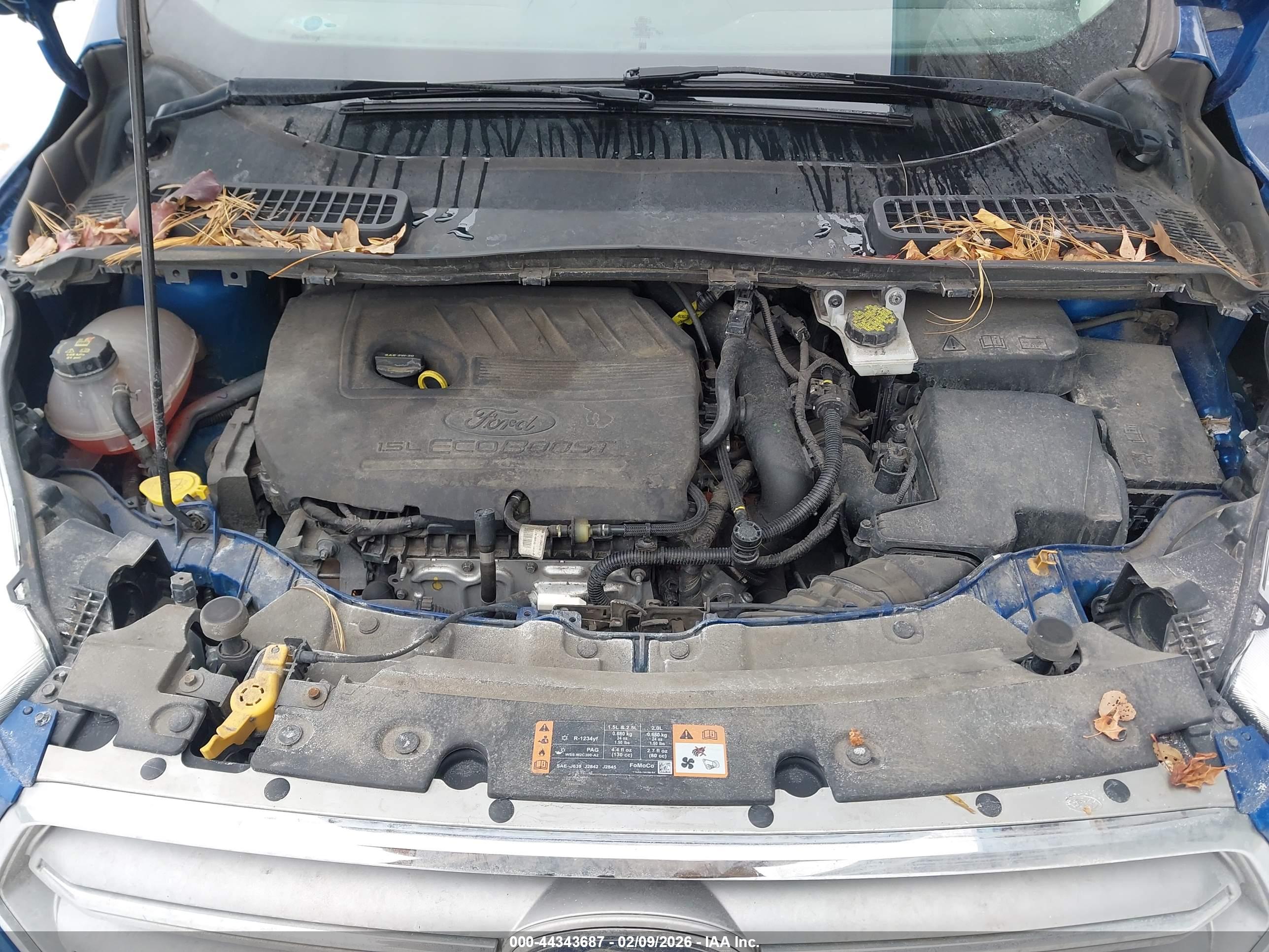 FORD ESCAPE image 10