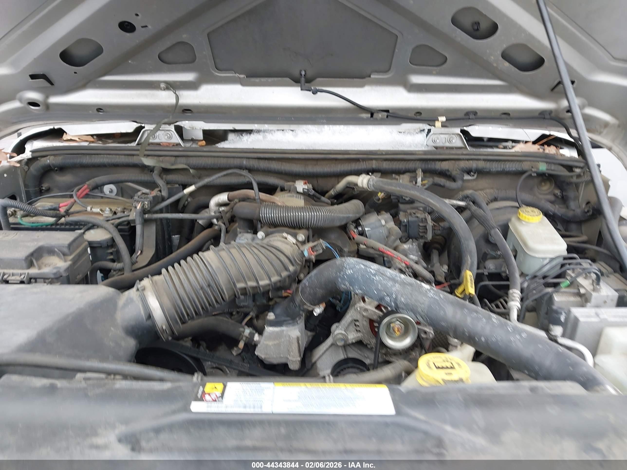 JEEP WRANGLER image 10