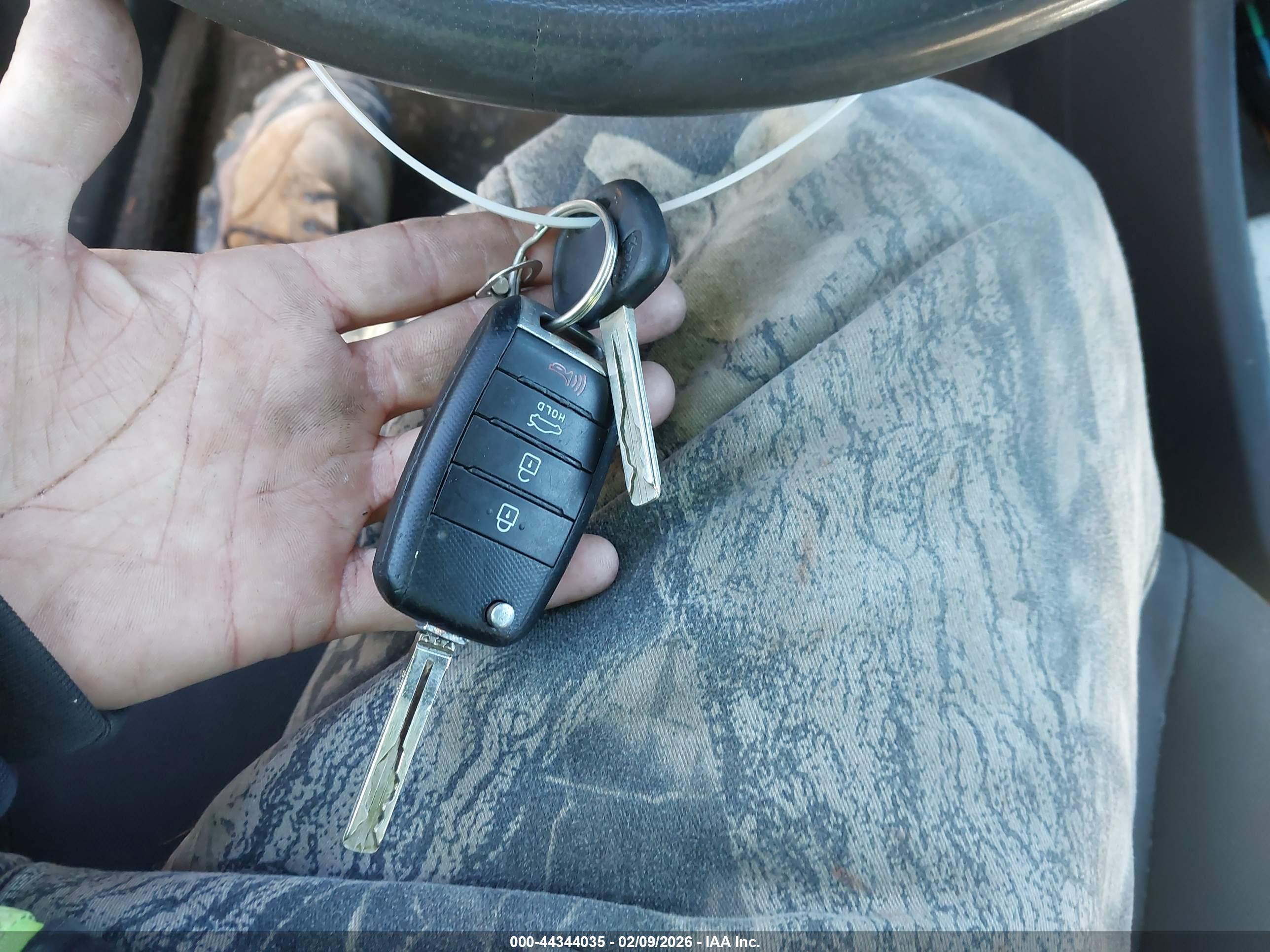 KIA RIO image 11