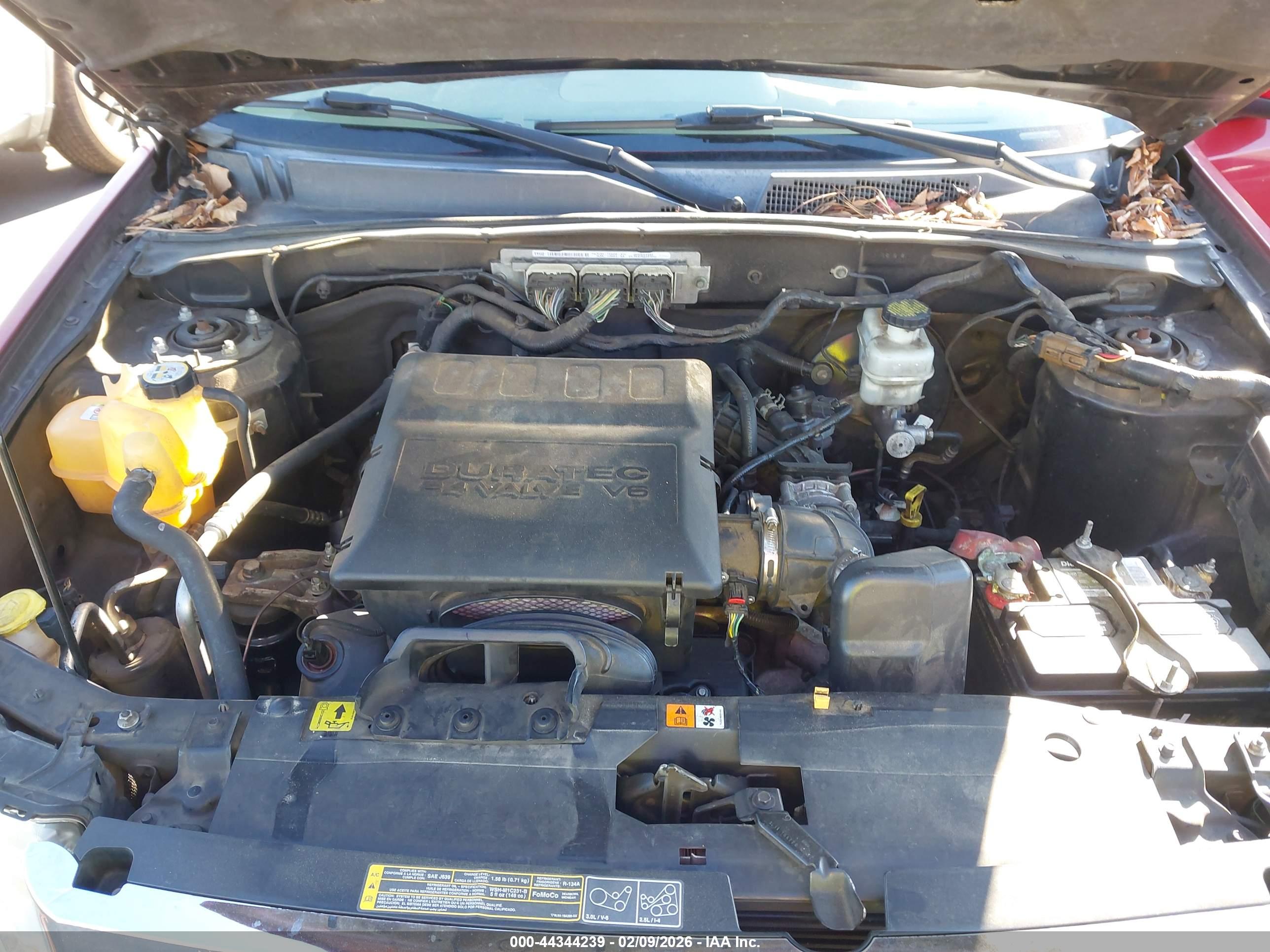 FORD ESCAPE image 10