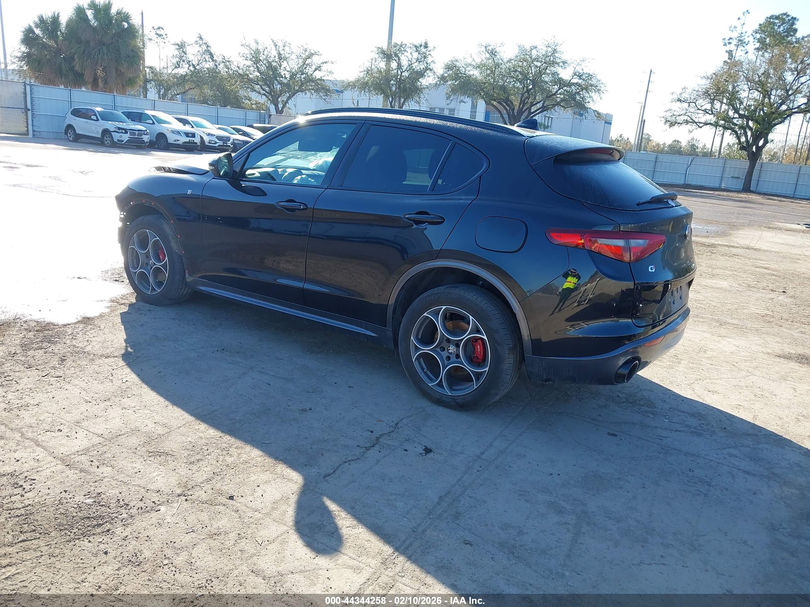 ALFA ROMEO image 3
