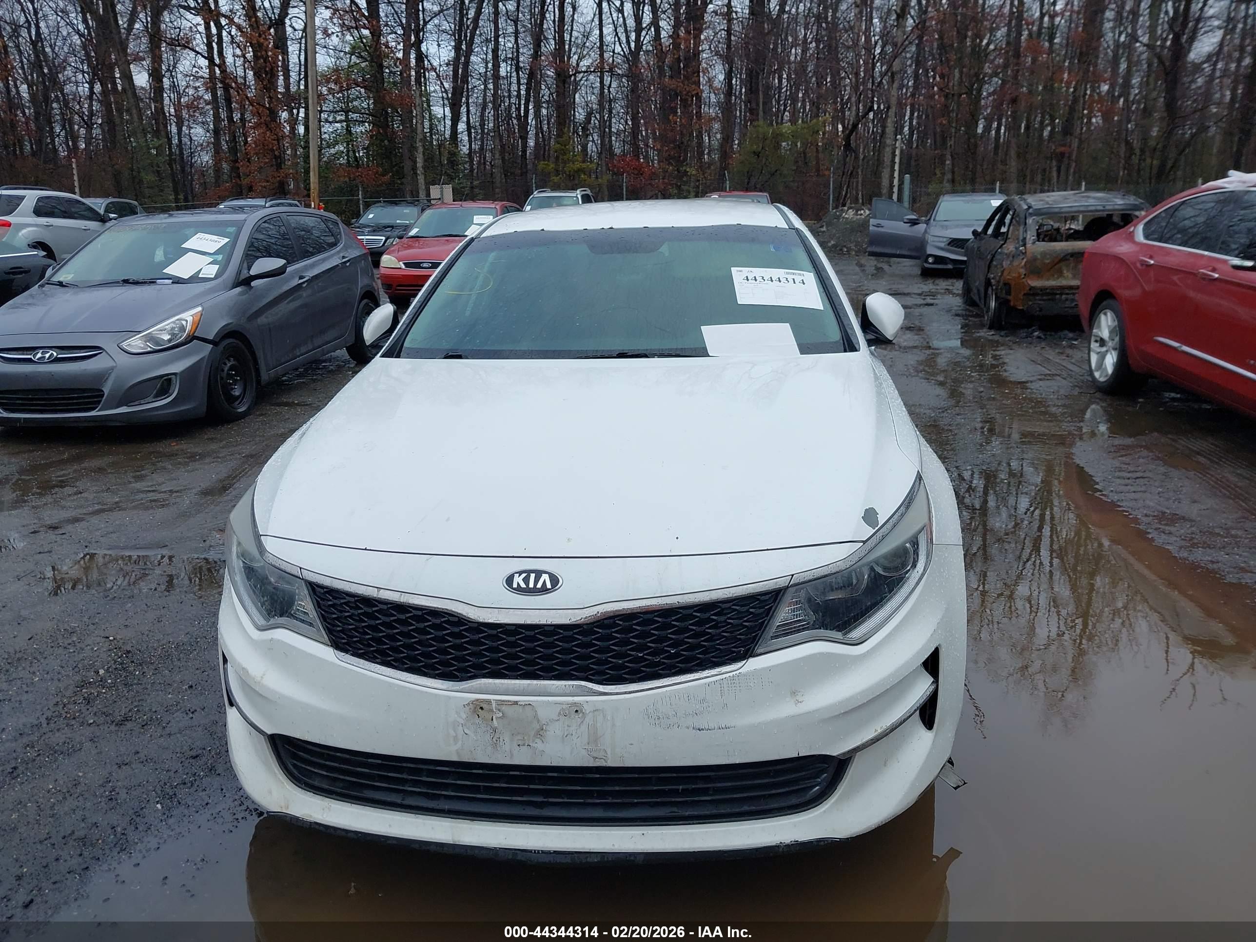 KIA OPTIMA image 10