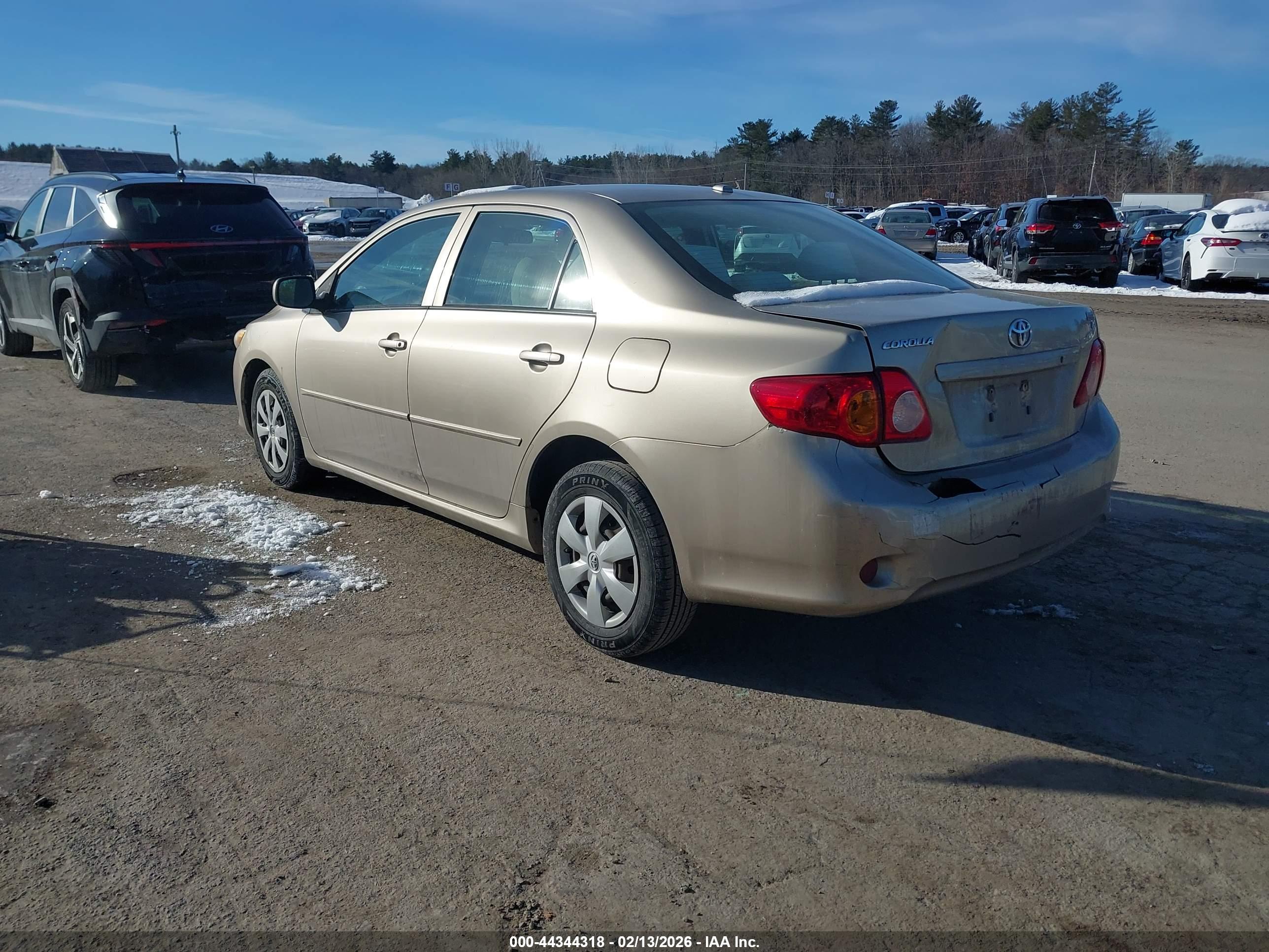 TOYOTA COROLLA image 3