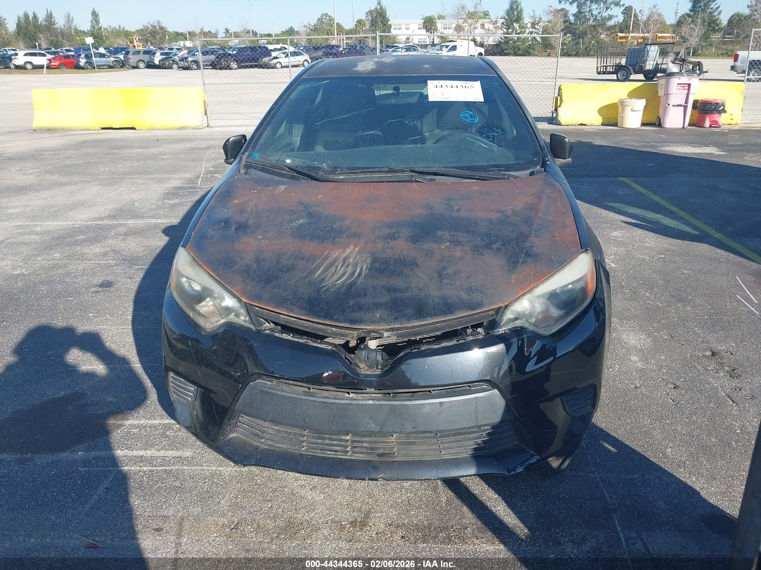TOYOTA COROLLA image 6