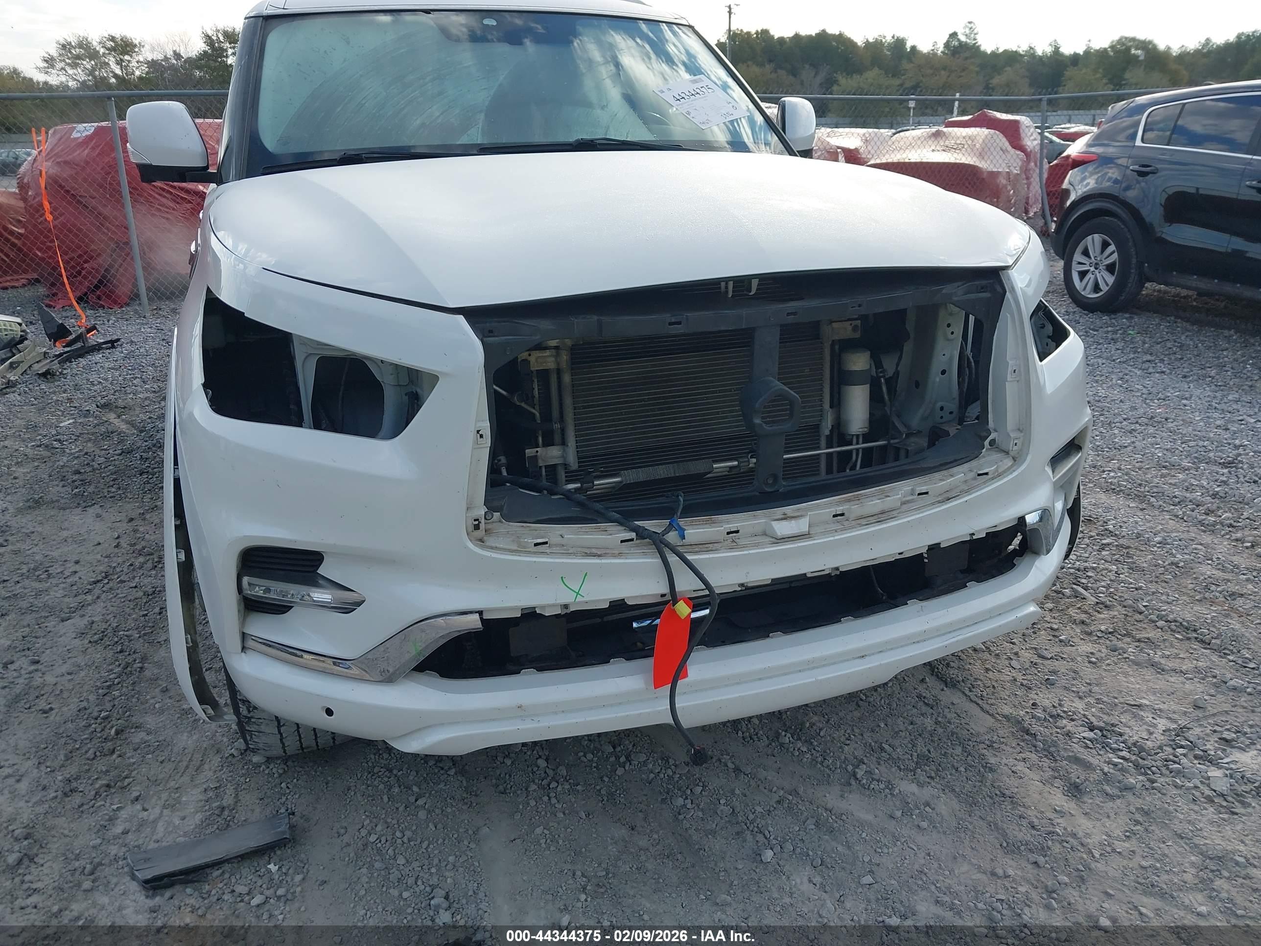 INFINITI QX80 image 6