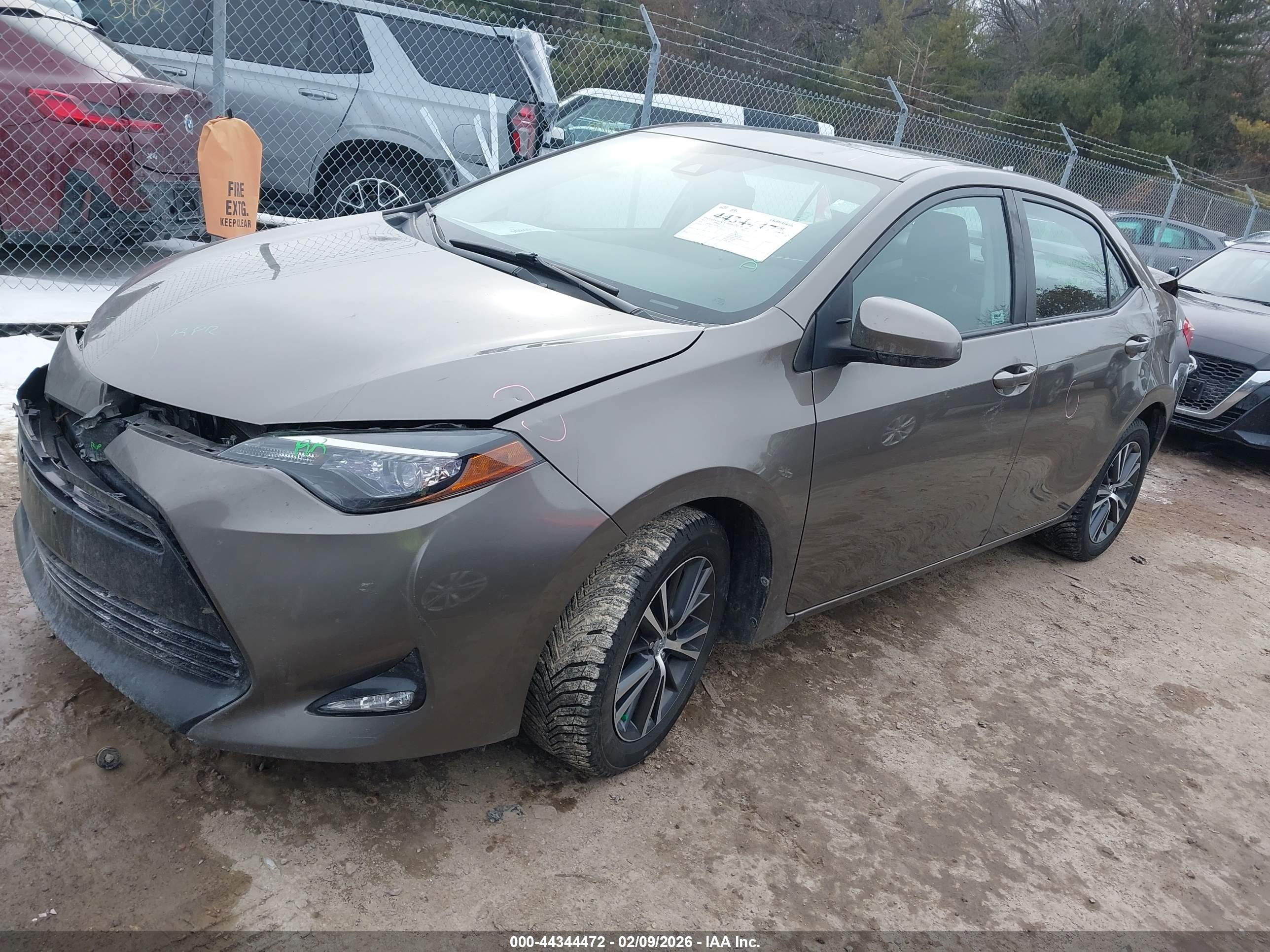 TOYOTA COROLLA image 2