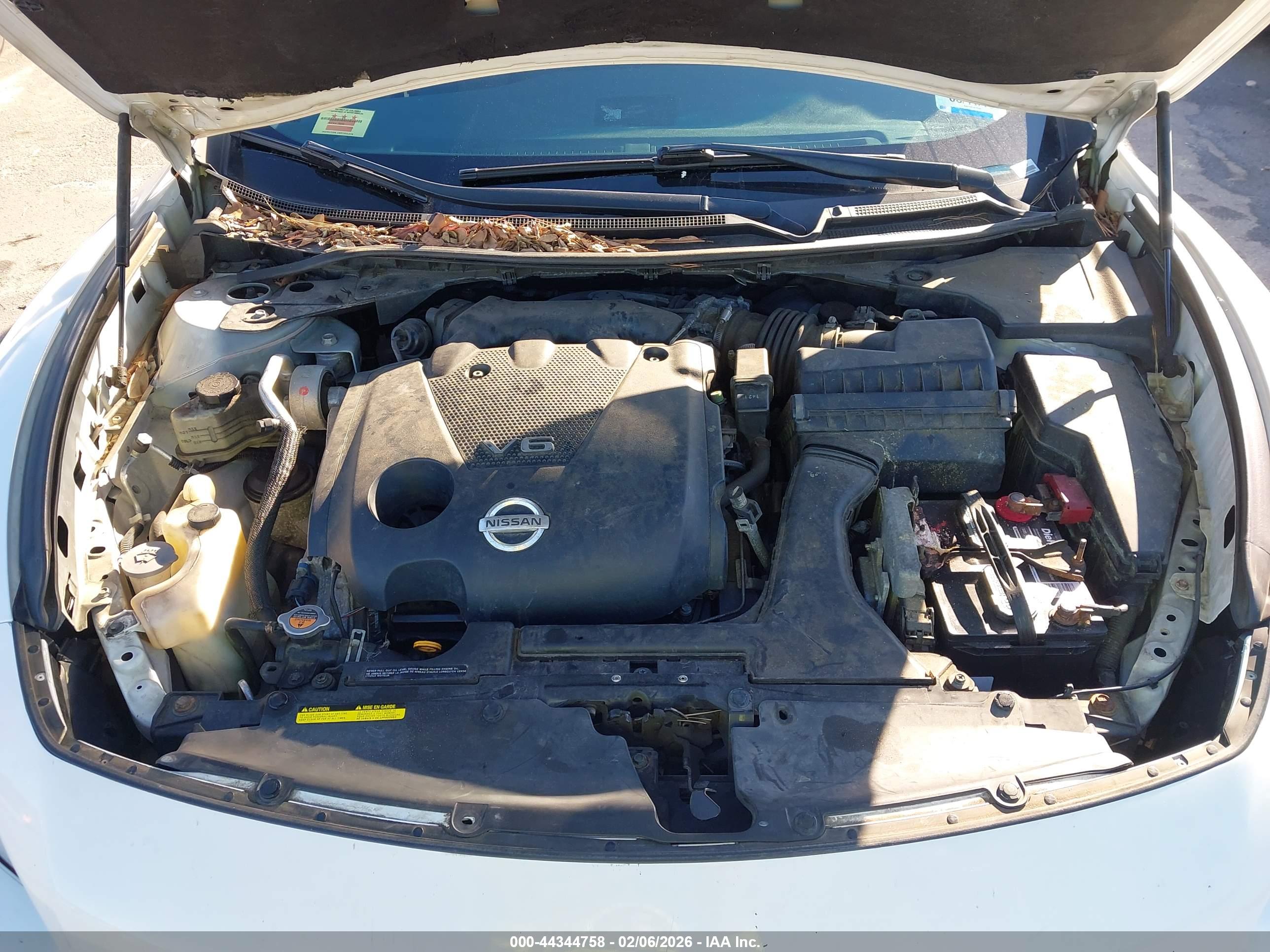 NISSAN MAXIMA image 10
