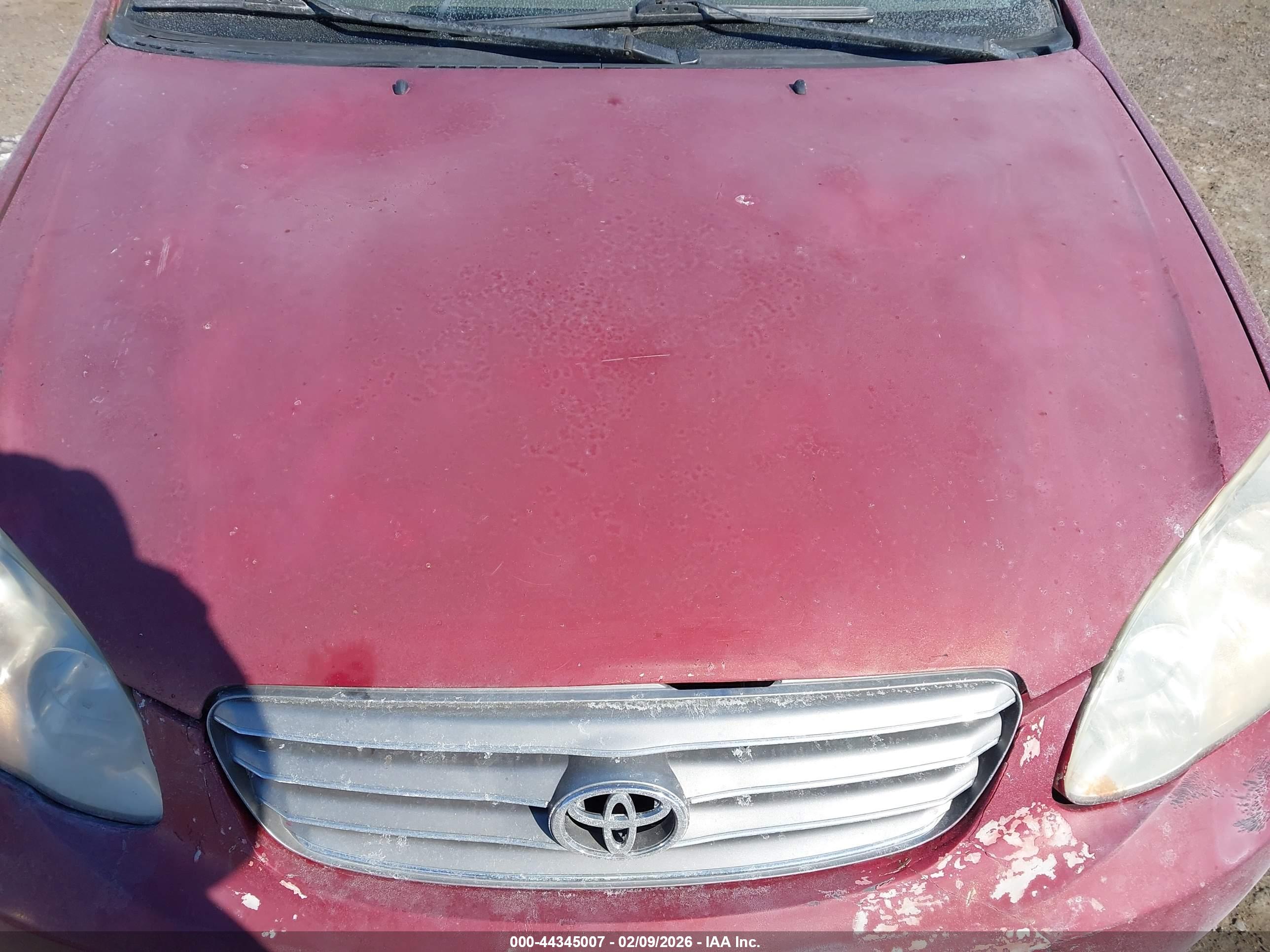 TOYOTA COROLLA image 6