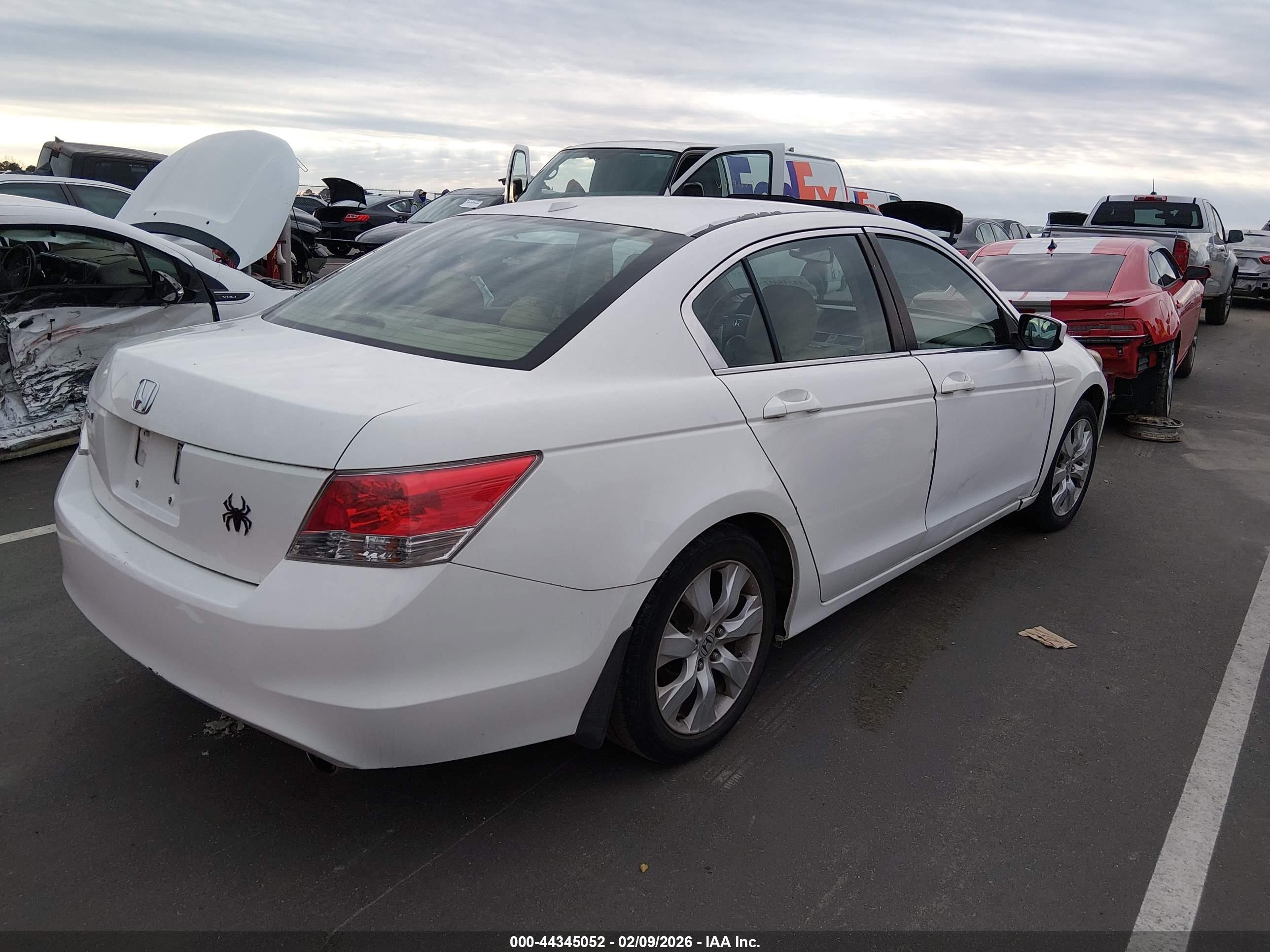 HONDA ACCORD image 4