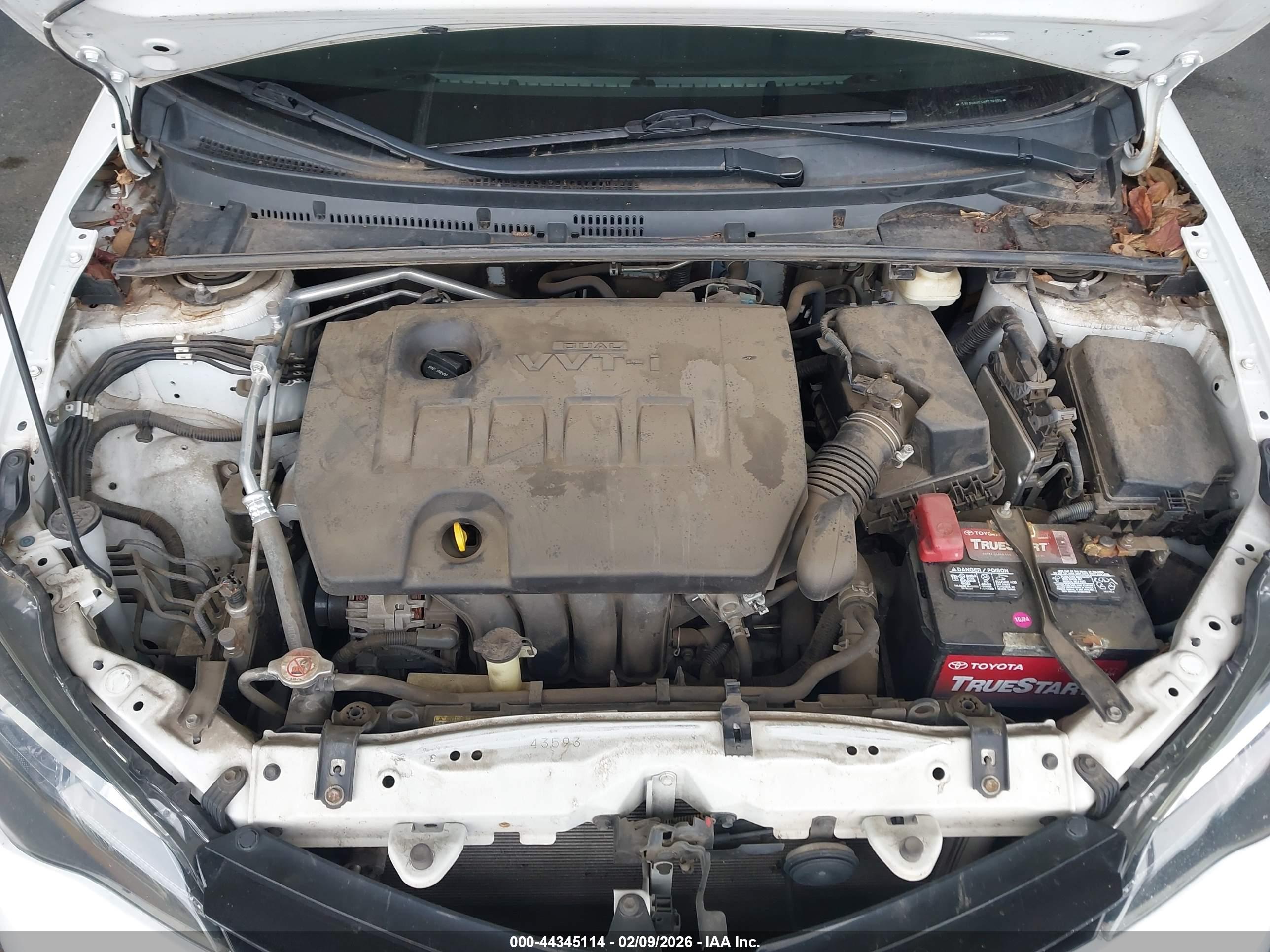 TOYOTA COROLLA image 10