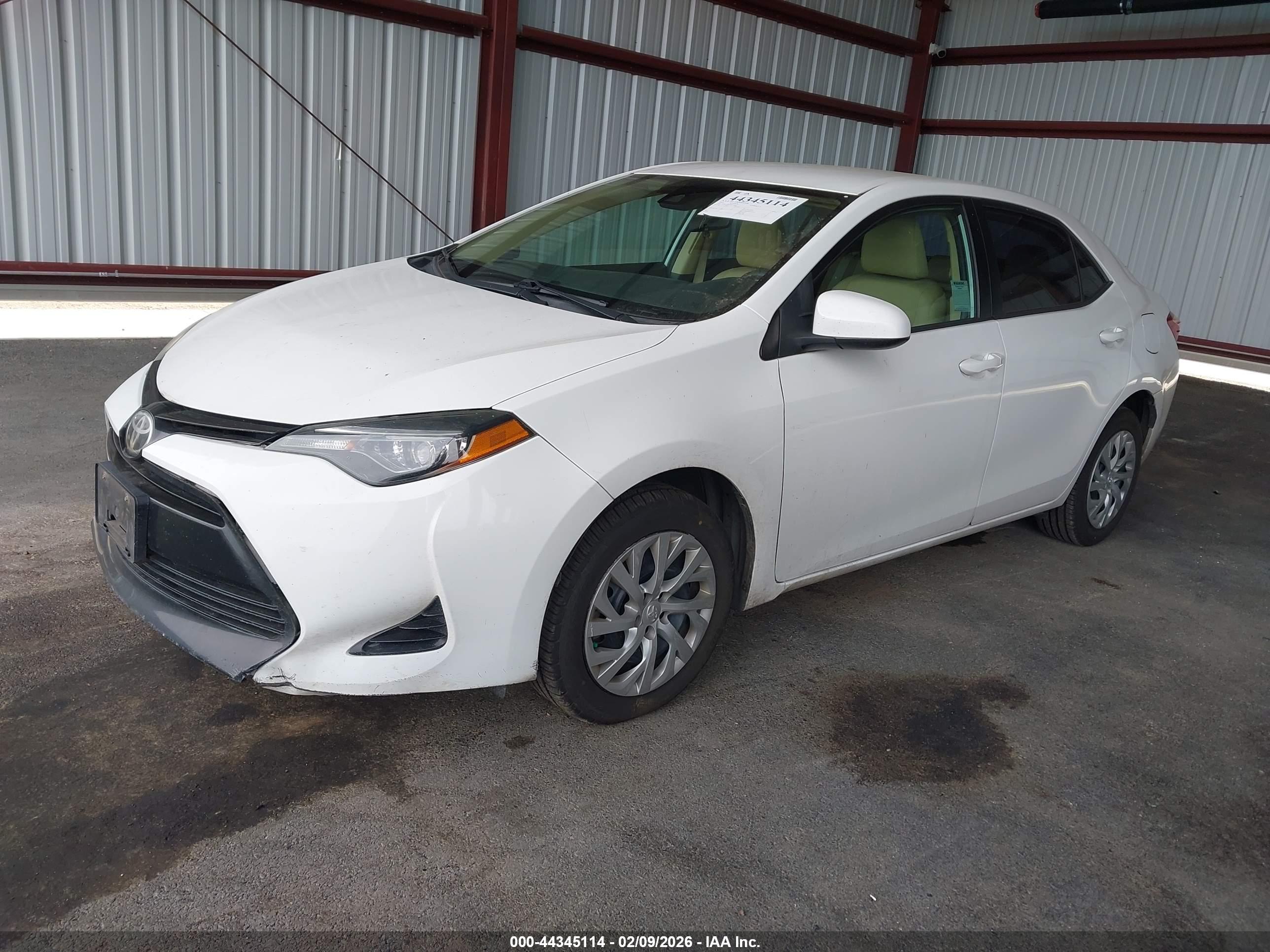 TOYOTA COROLLA image 2