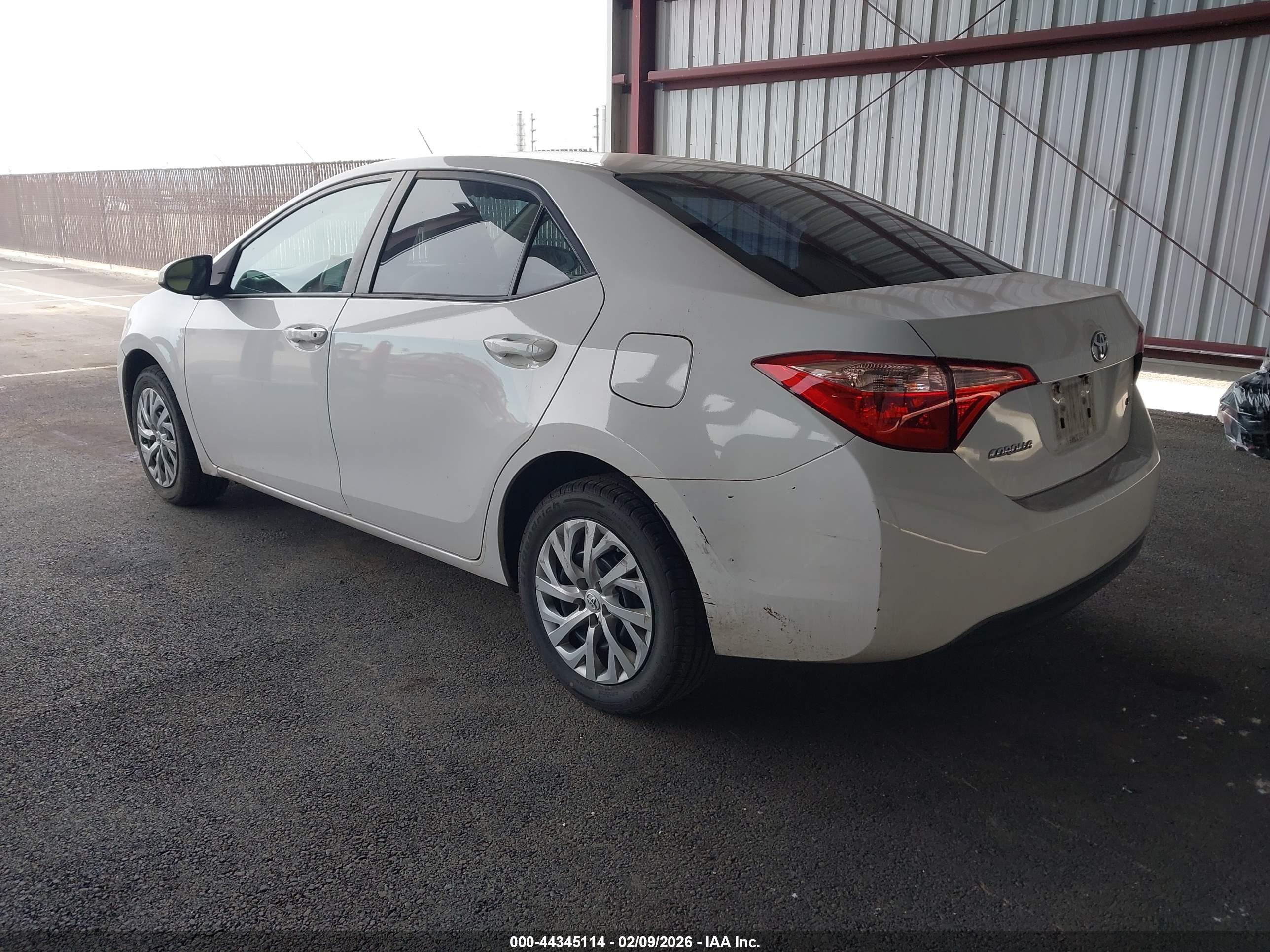 TOYOTA COROLLA image 3