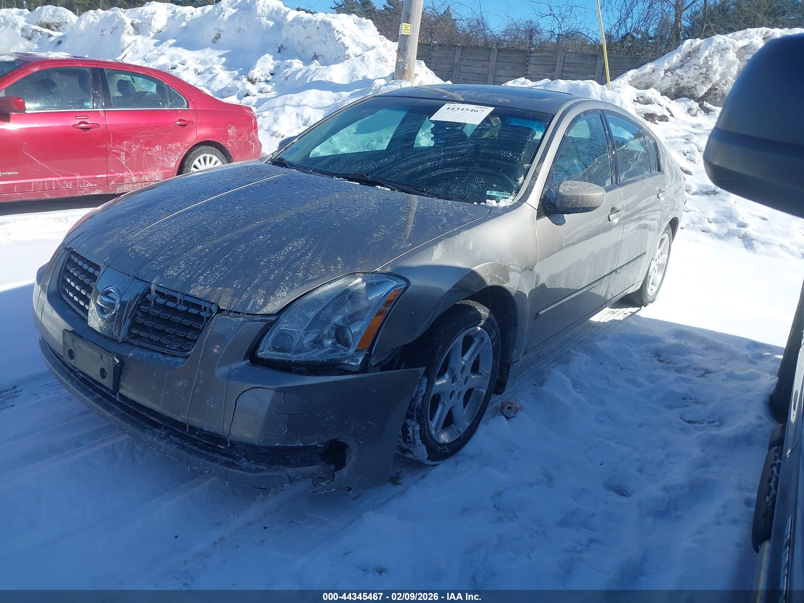 NISSAN MAXIMA image 2