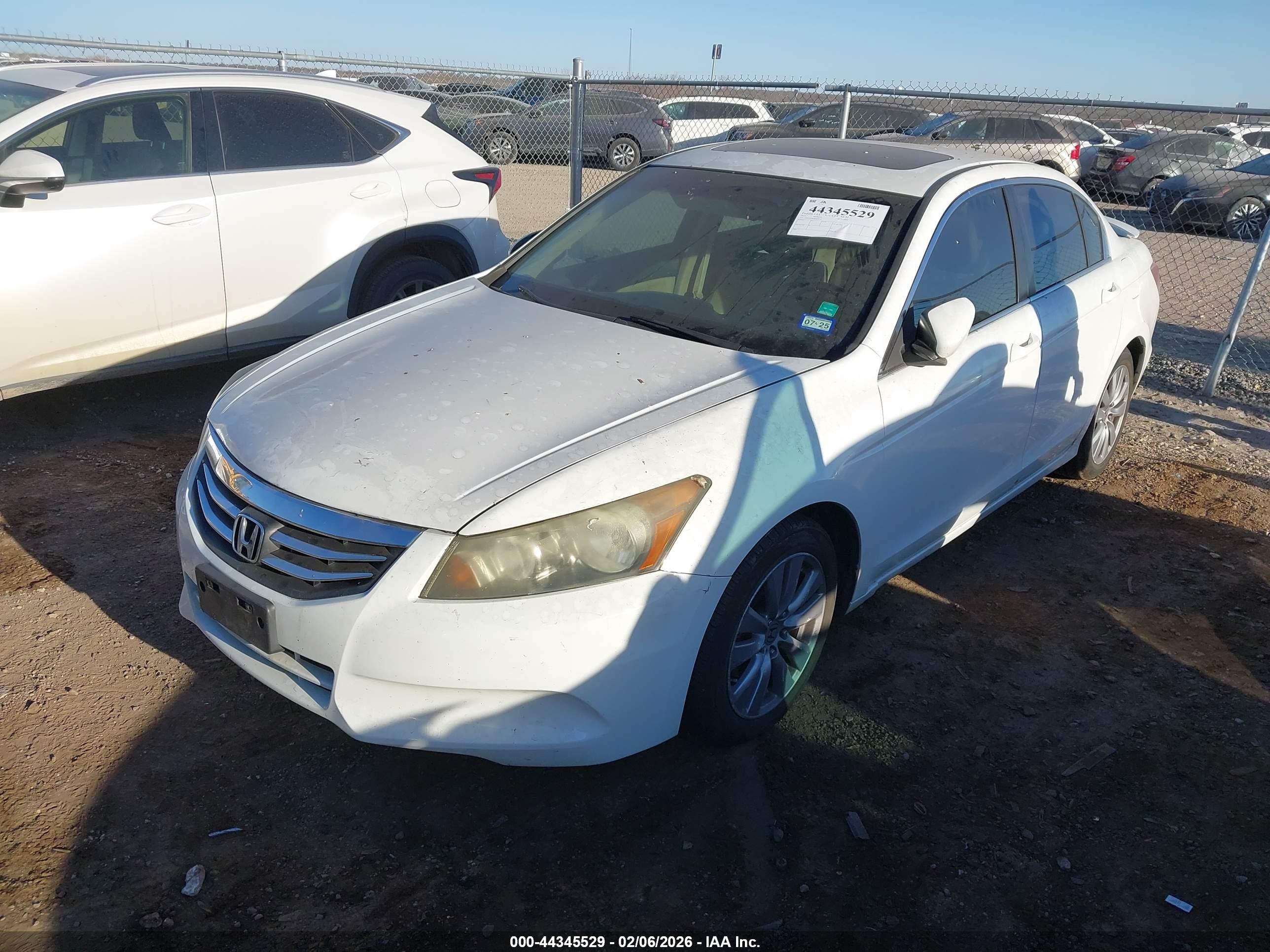 HONDA ACCORD image 2