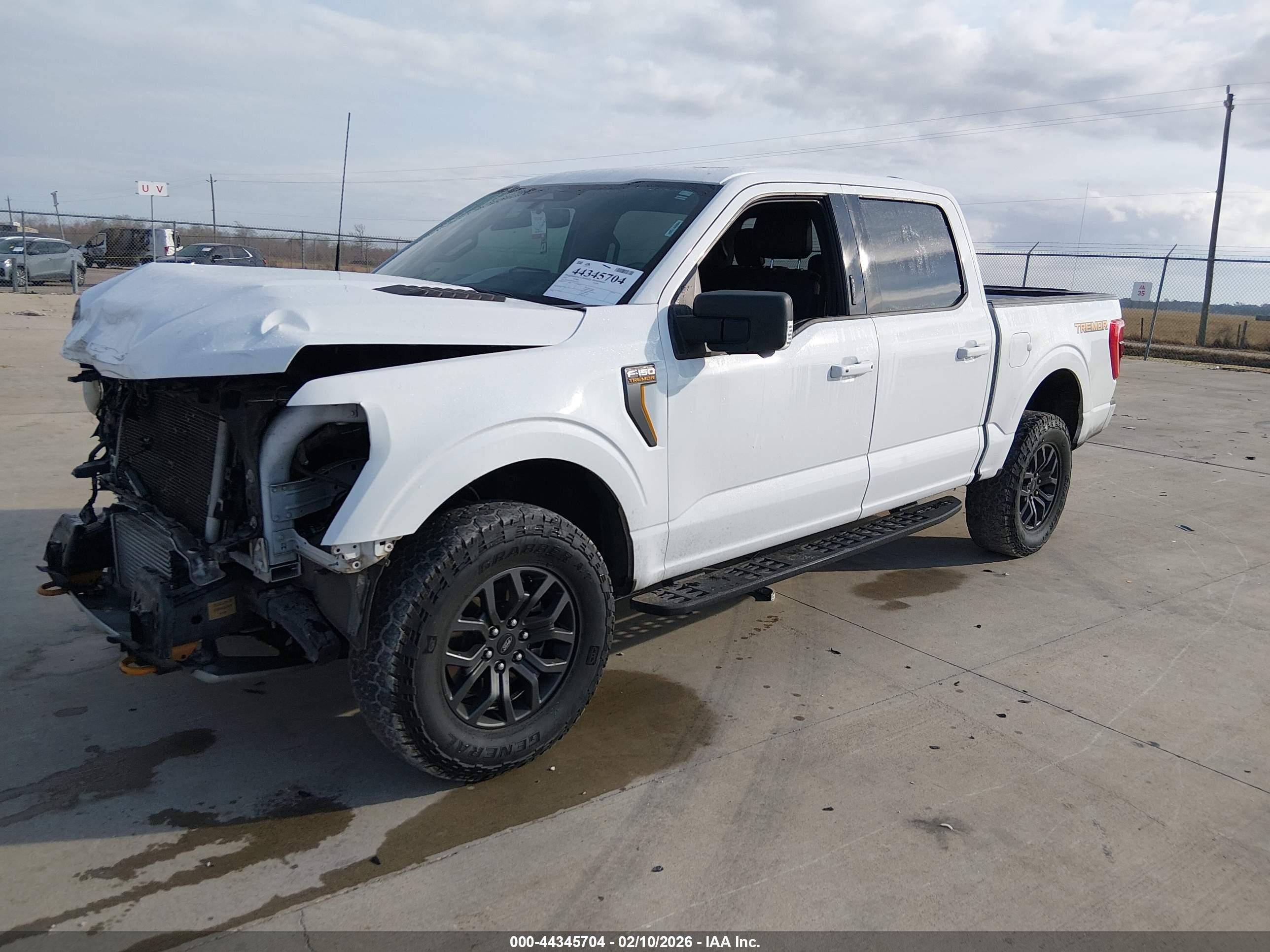 FORD F-150 image 2