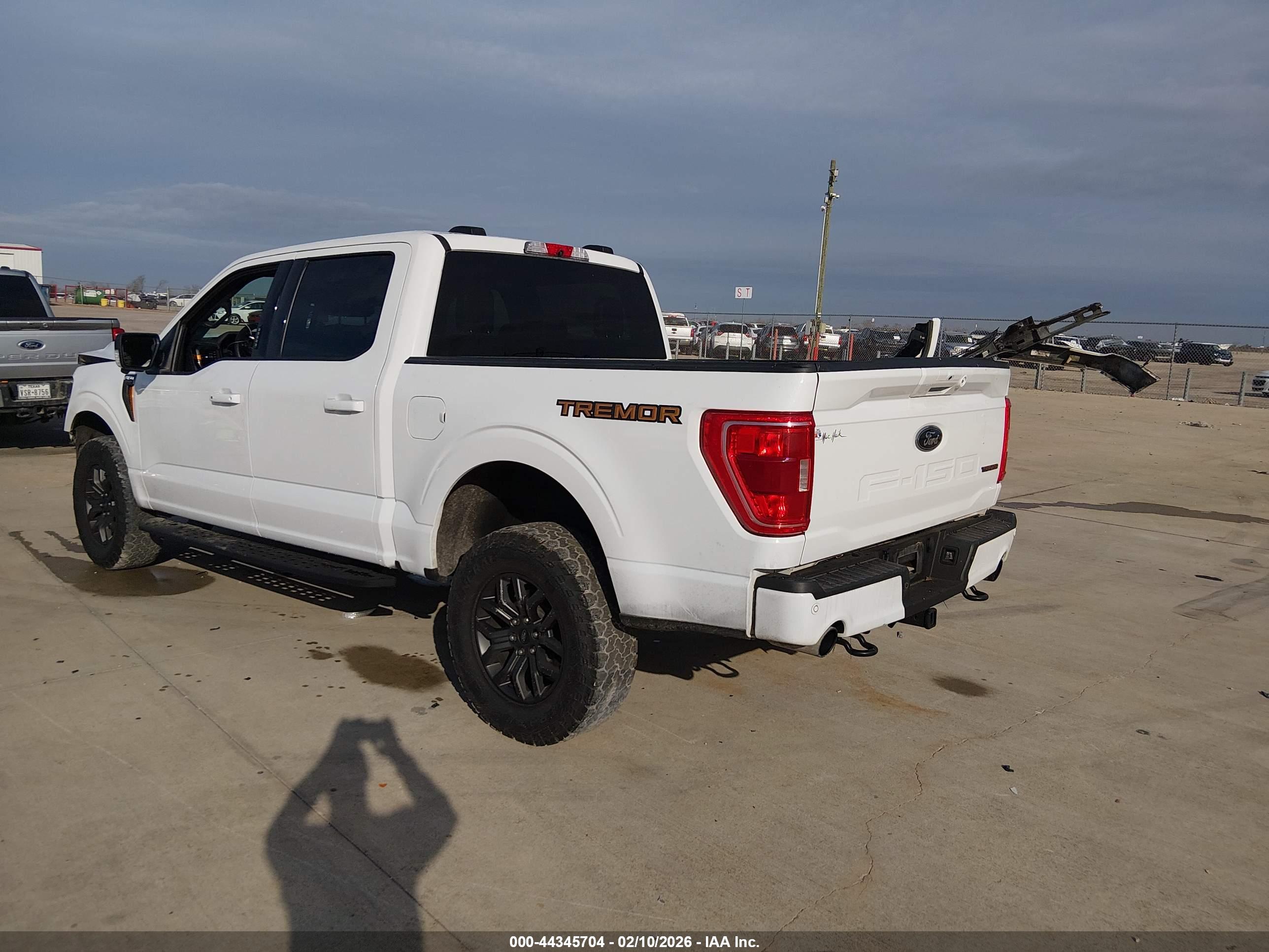 FORD F-150 image 3
