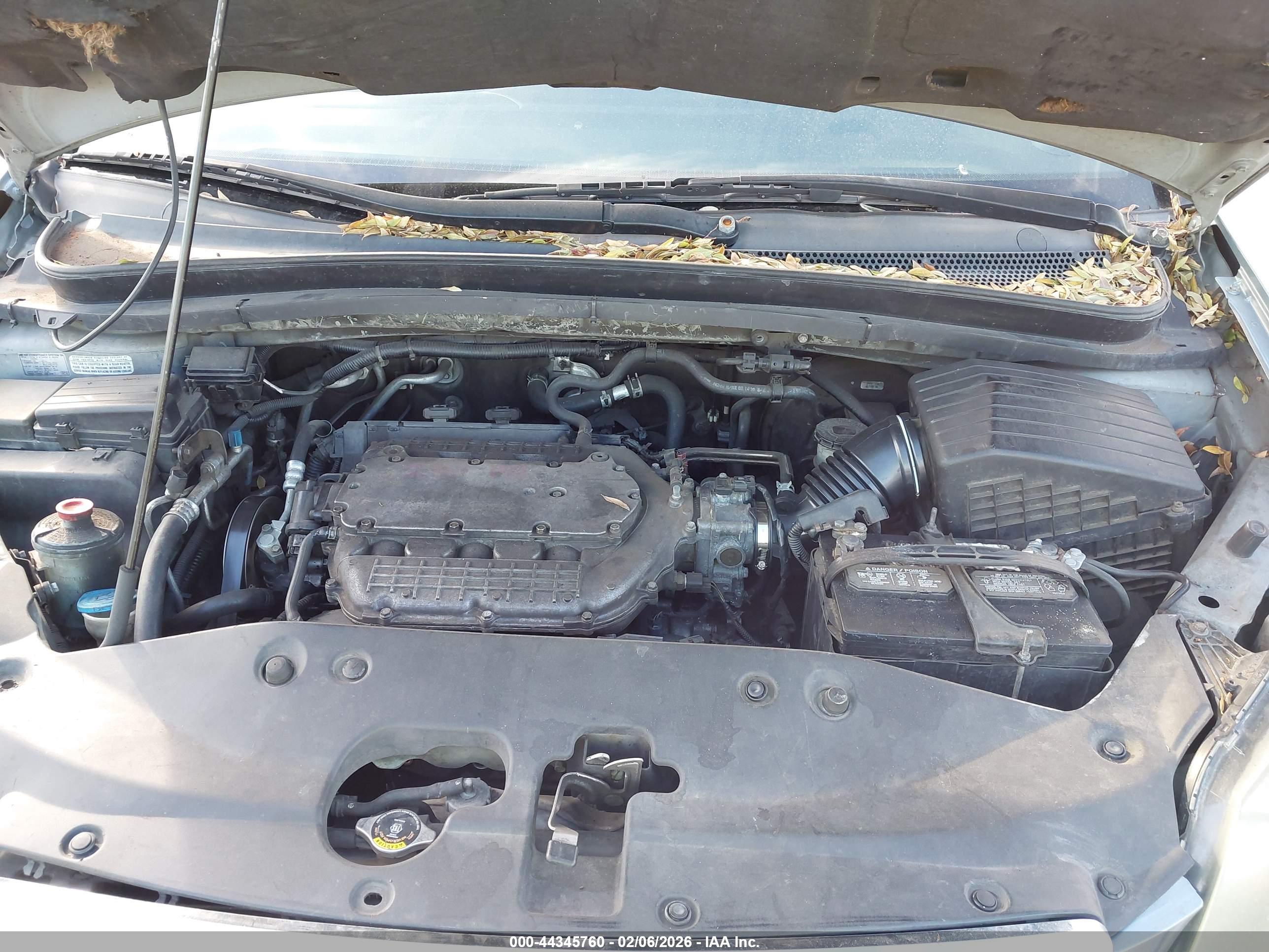 HONDA ODYSSEY image 10