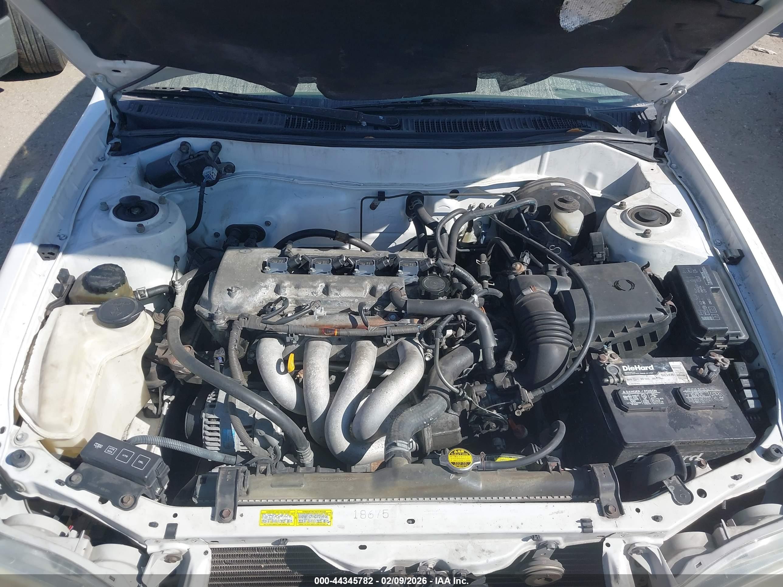TOYOTA COROLLA image 10