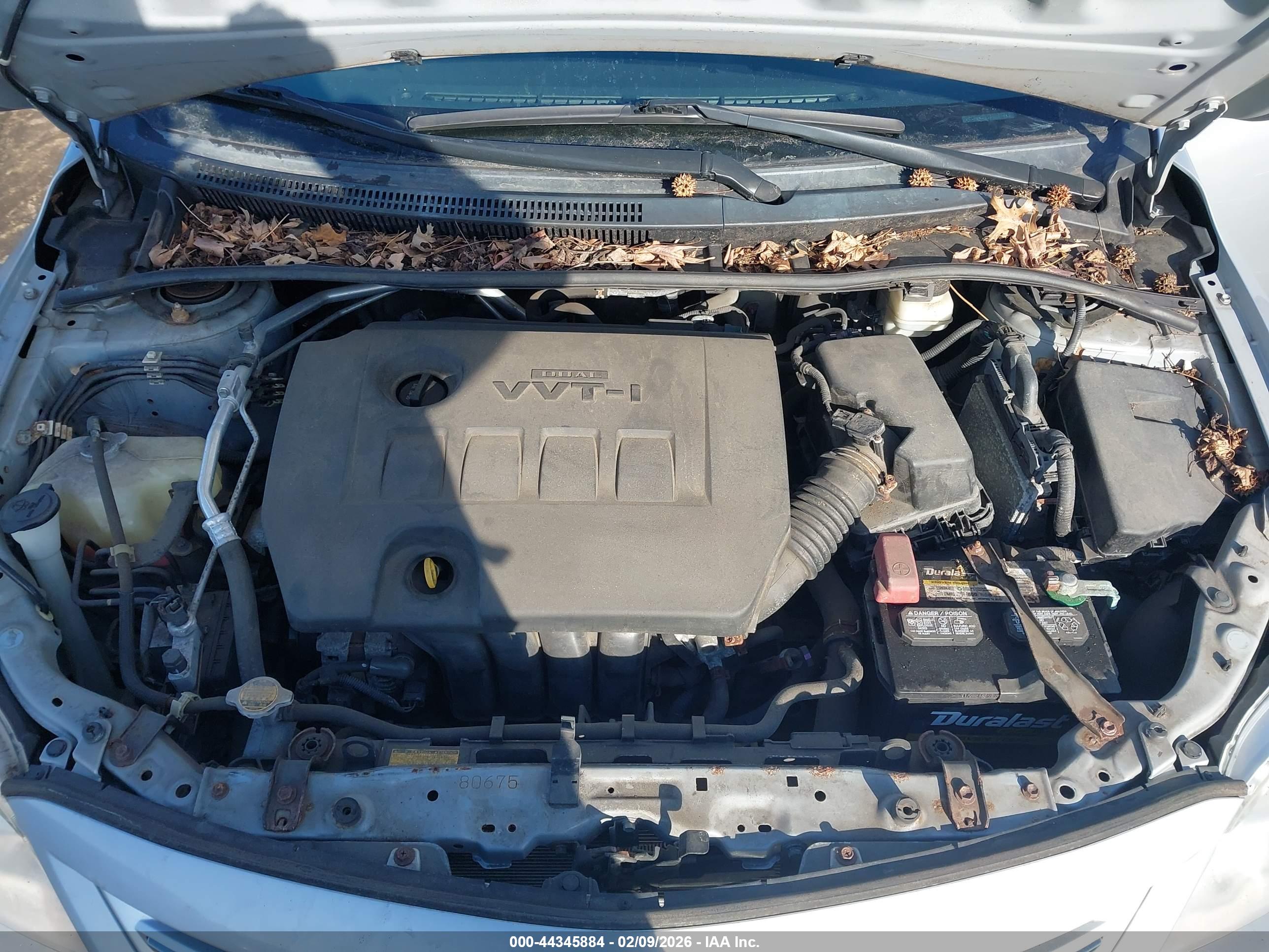 TOYOTA COROLLA image 10