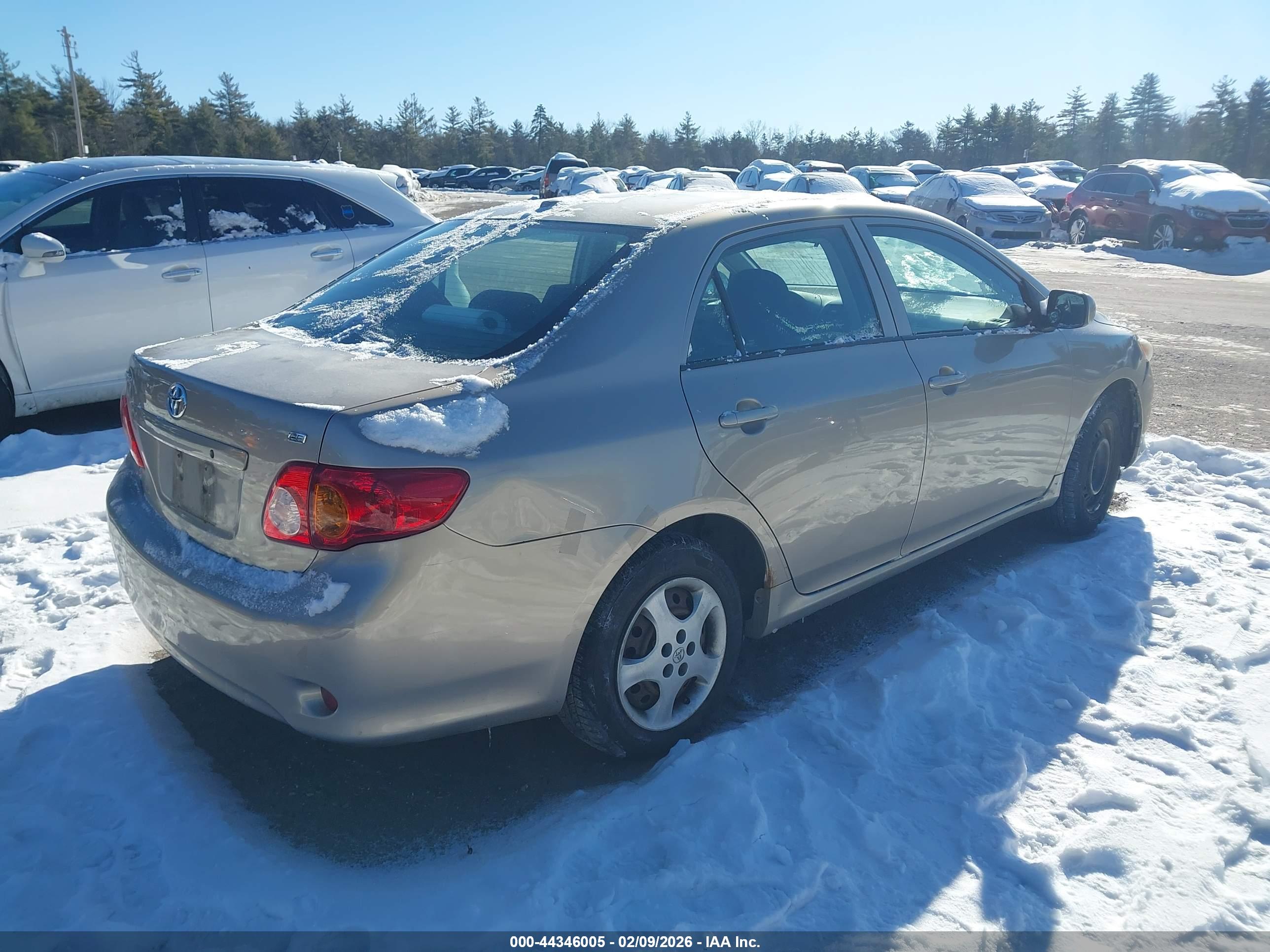 TOYOTA COROLLA image 4