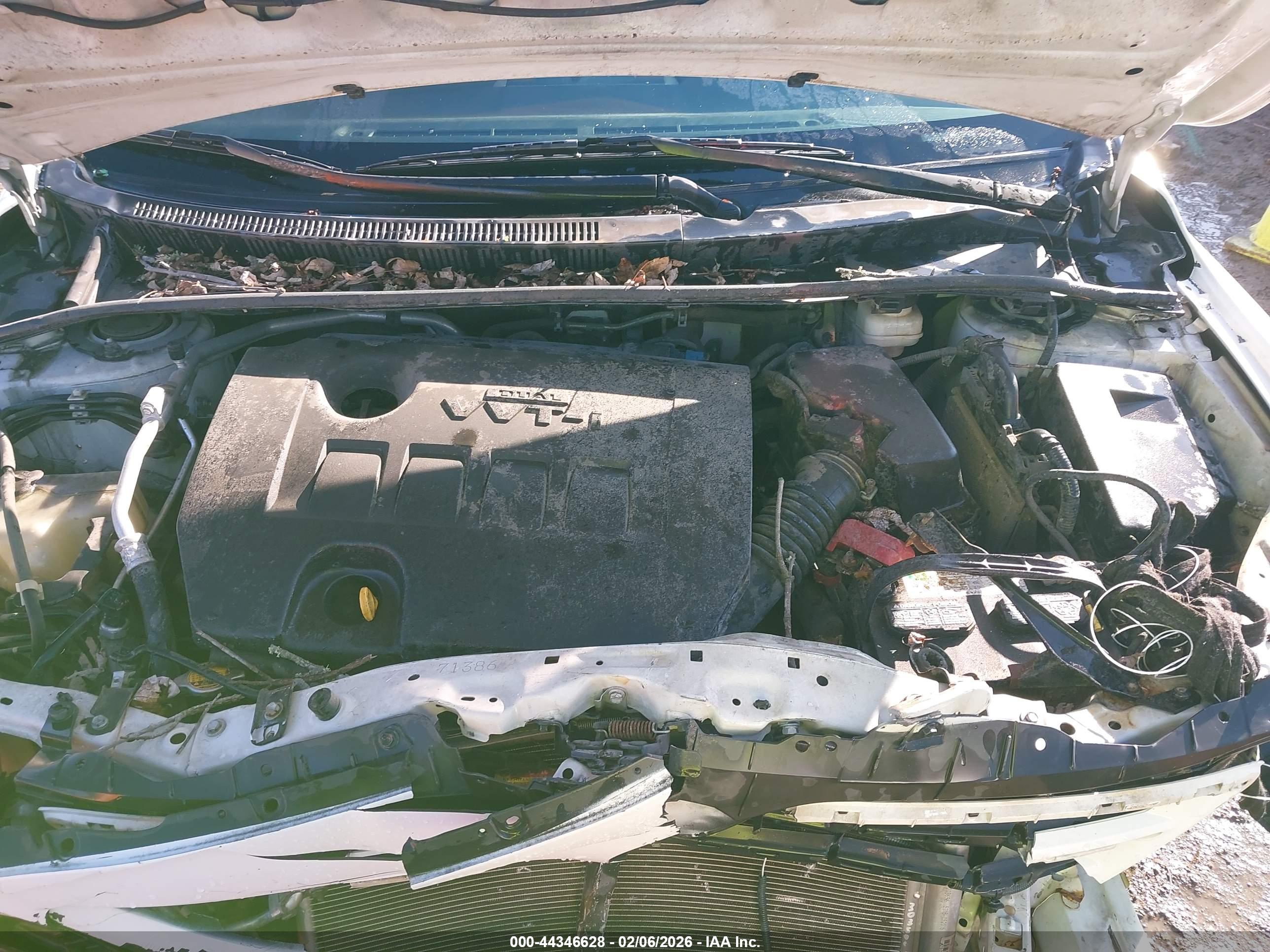 TOYOTA COROLLA image 10