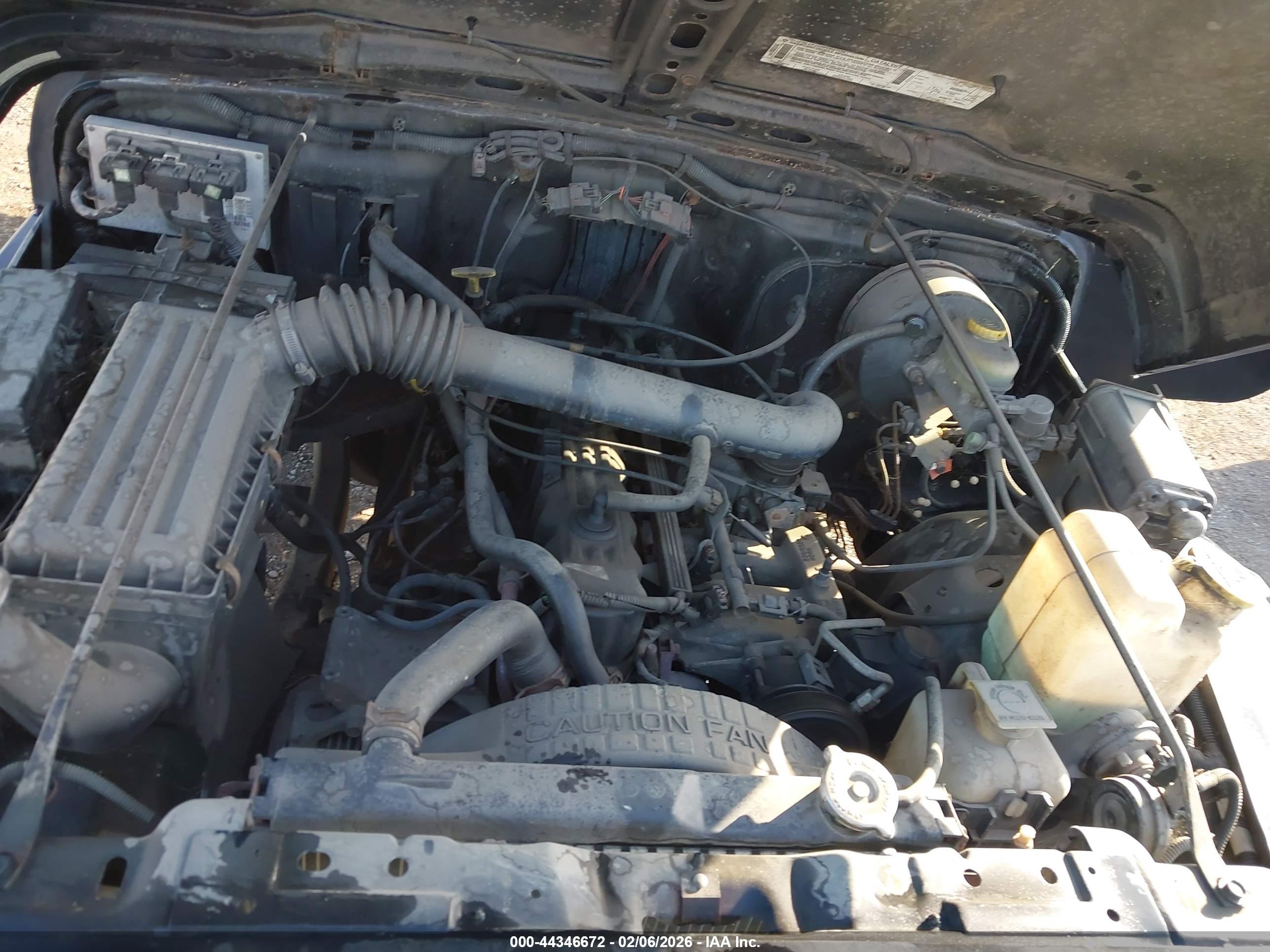 JEEP WRANGLER image 10