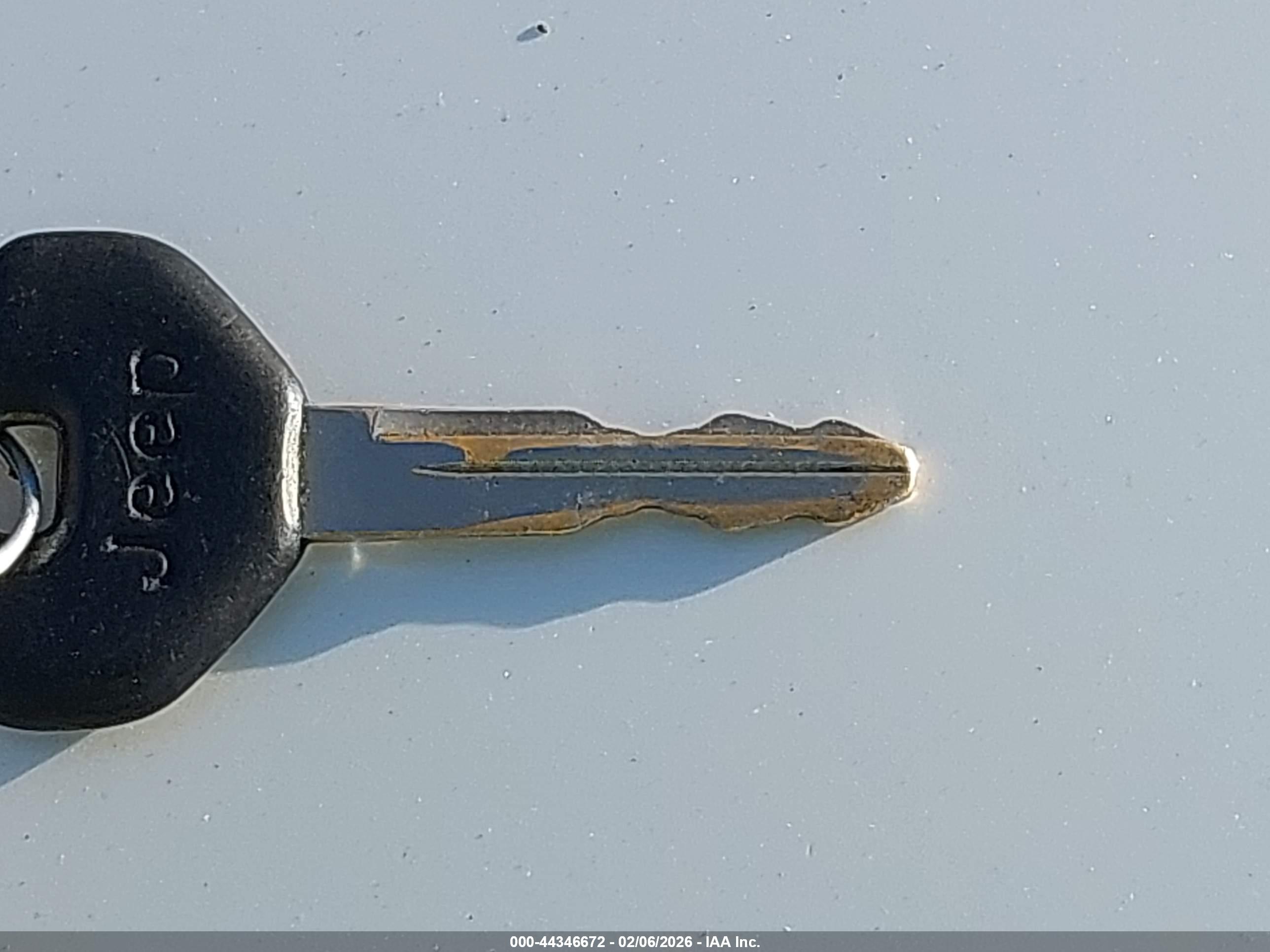 JEEP WRANGLER image 11