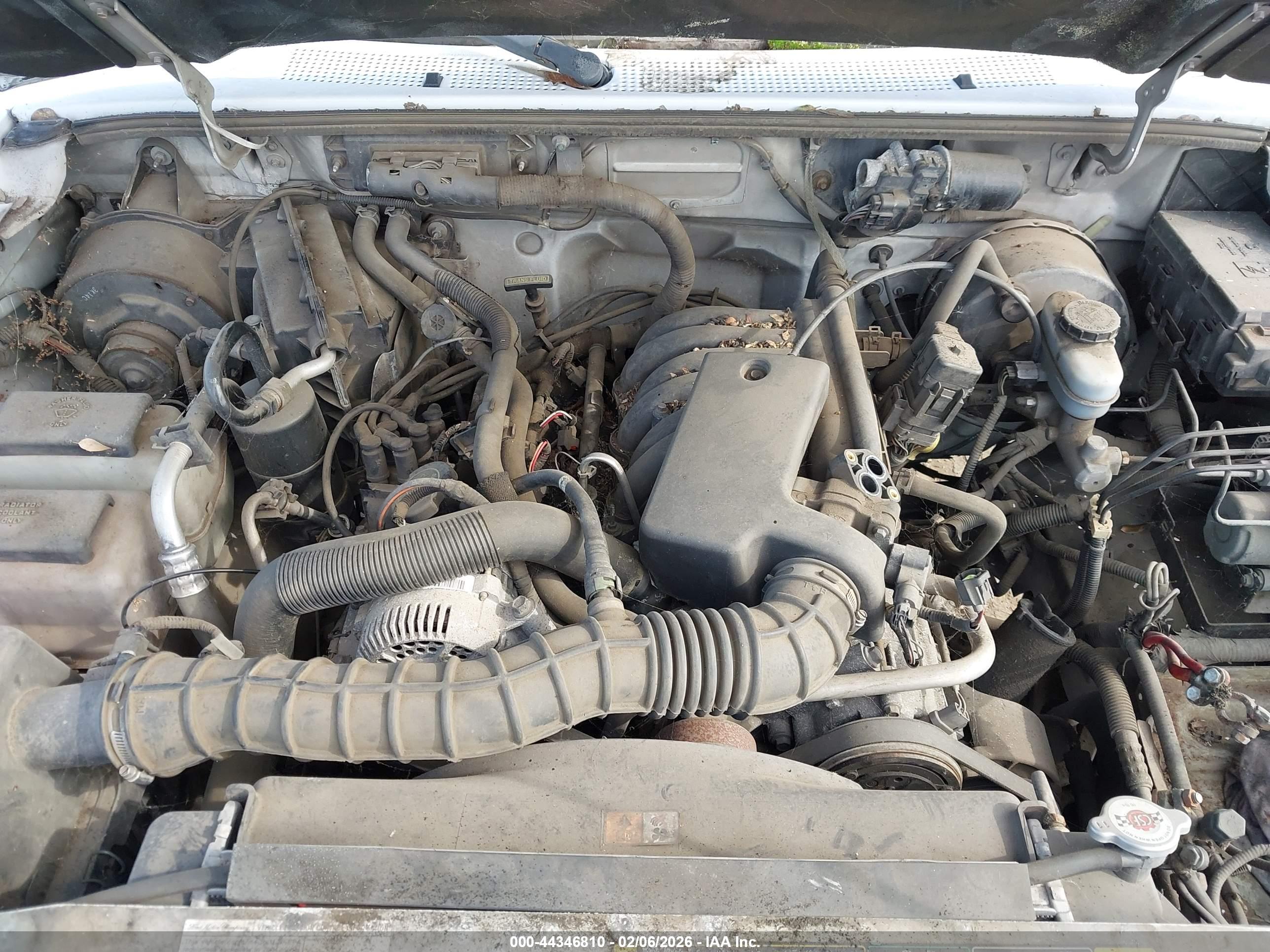 FORD RANGER image 10