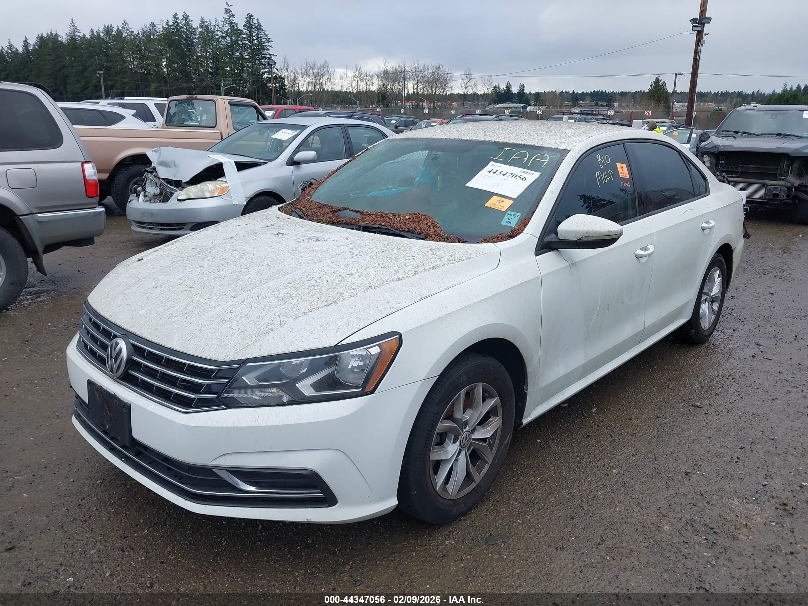 VOLKSWAGEN PASSAT image 2