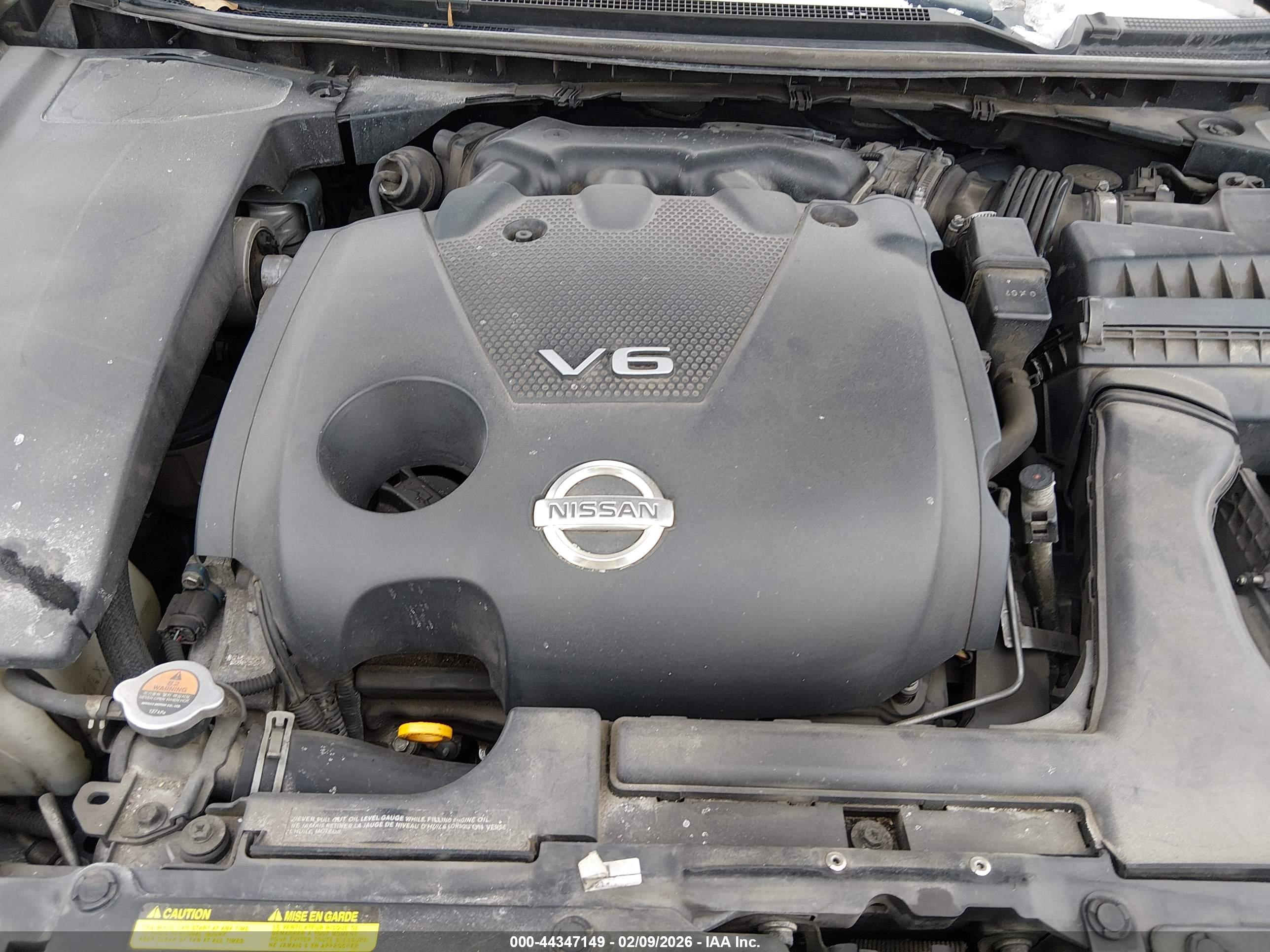 NISSAN MAXIMA image 10