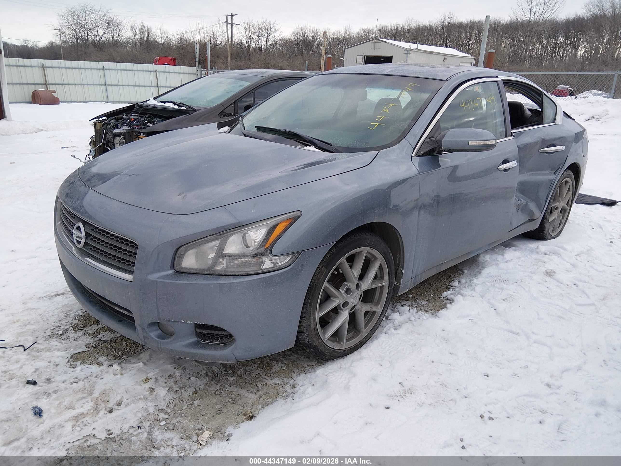 NISSAN MAXIMA image 2