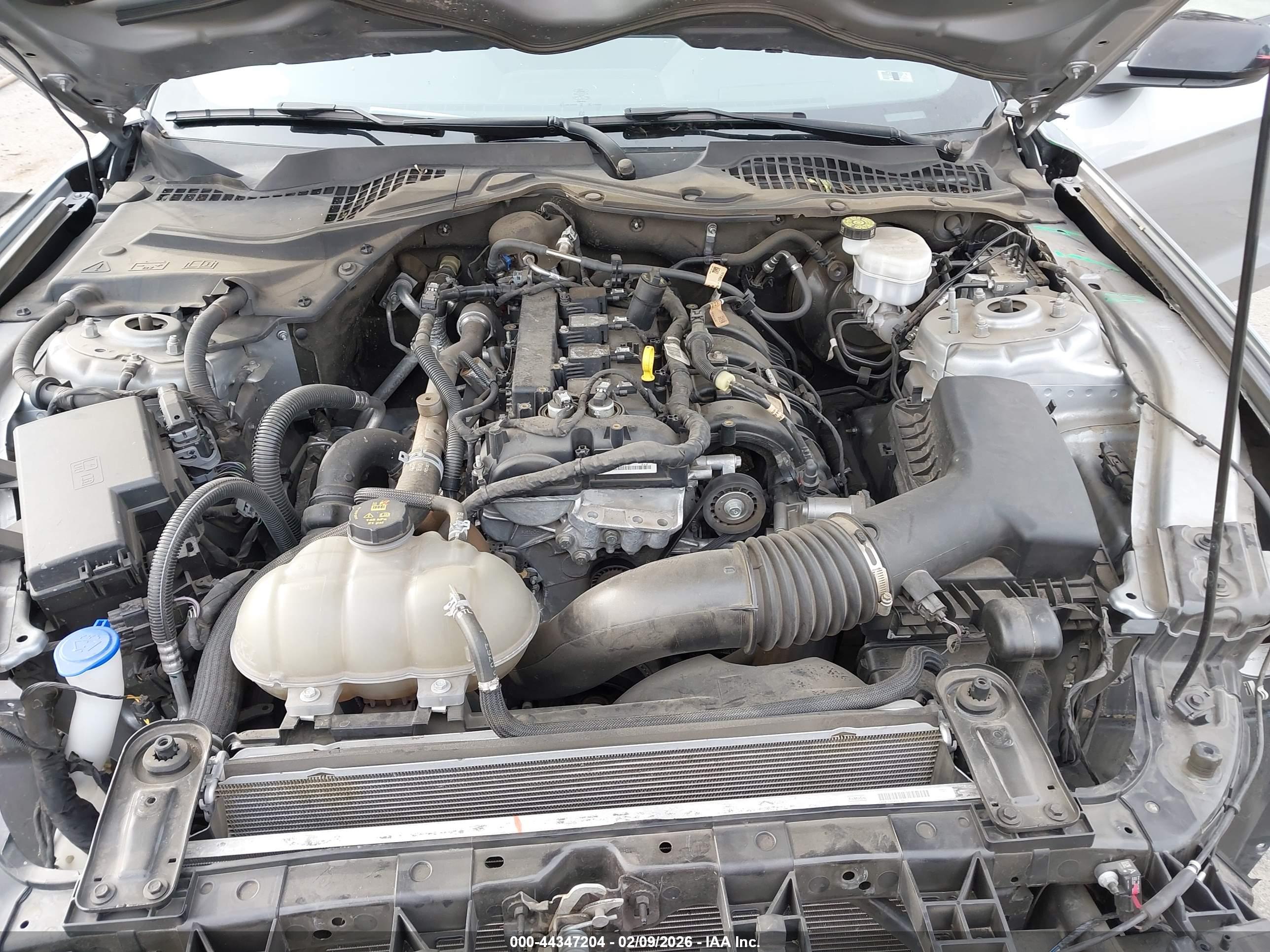 FORD MUSTANG image 10