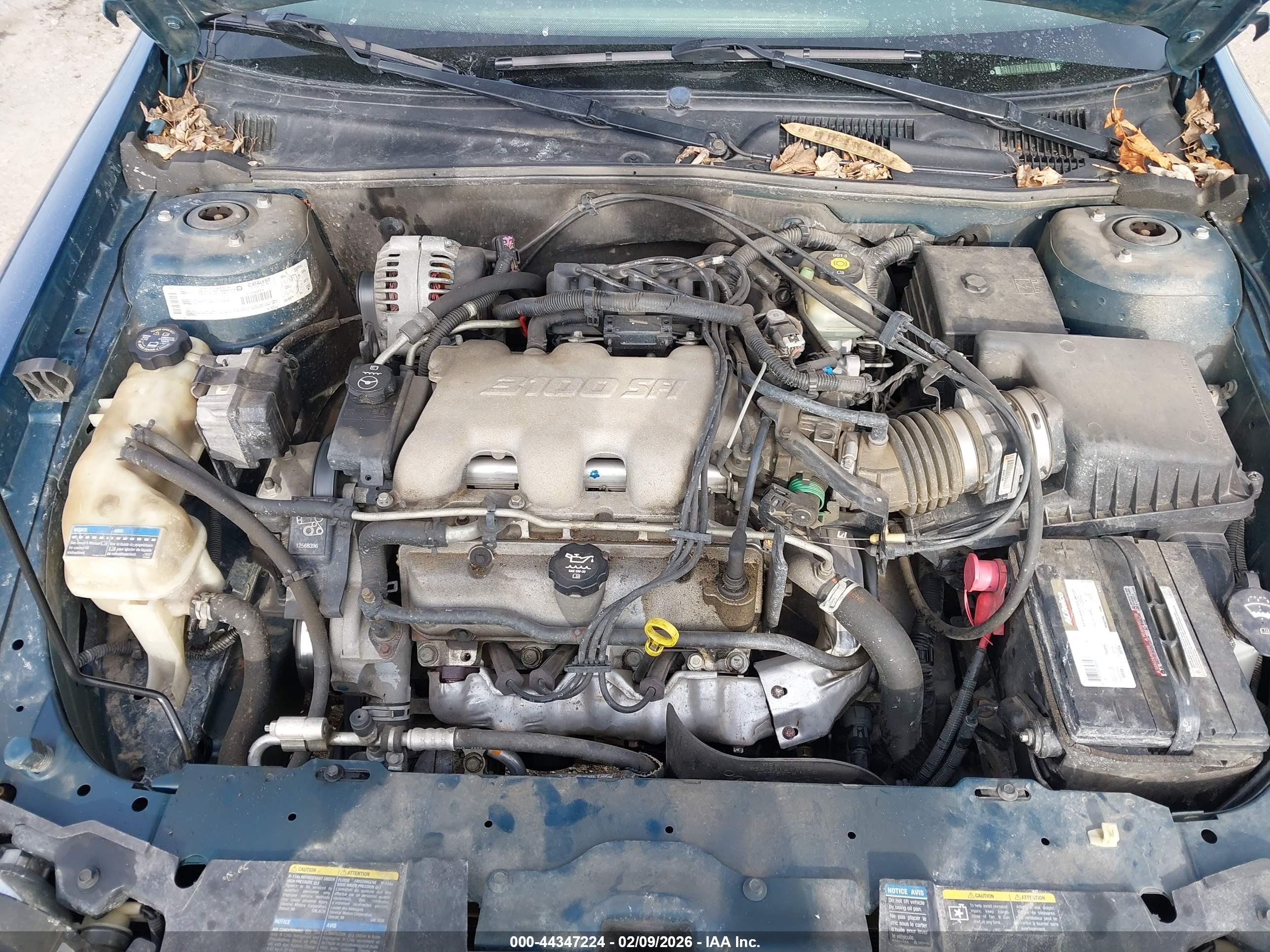 CHEVROLET MALIBU image 10