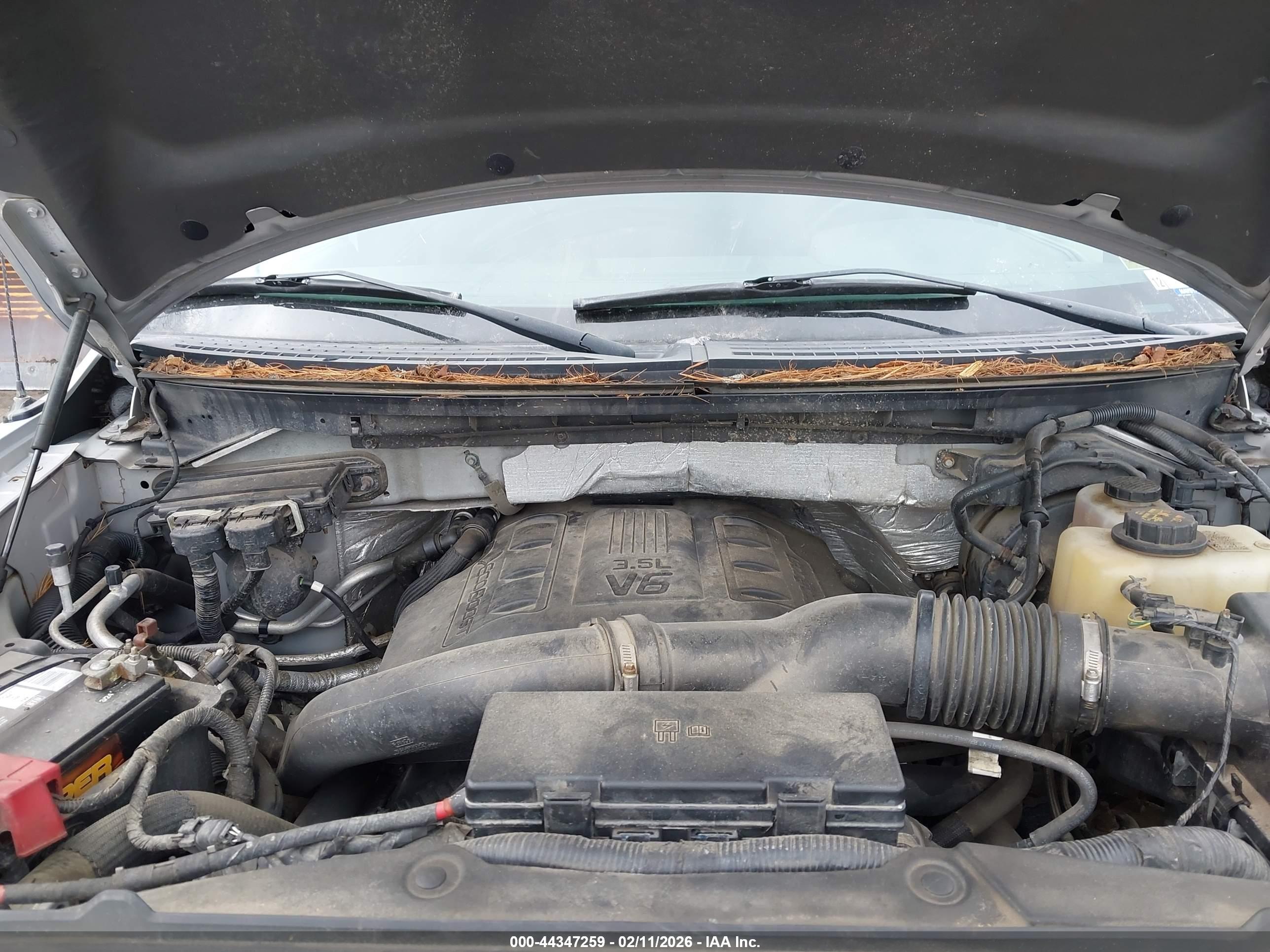 FORD F-150 image 10