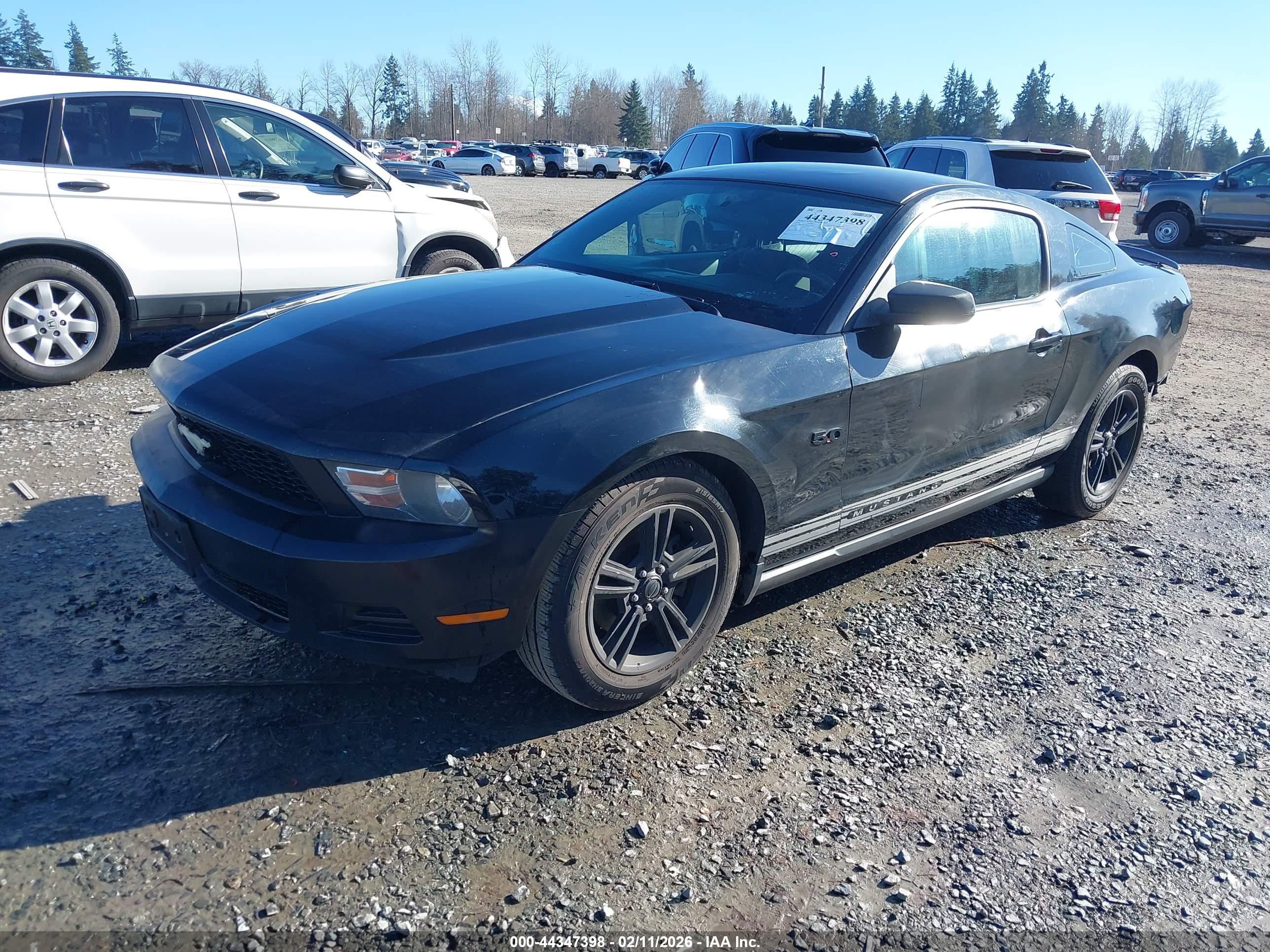 FORD MUSTANG image 2