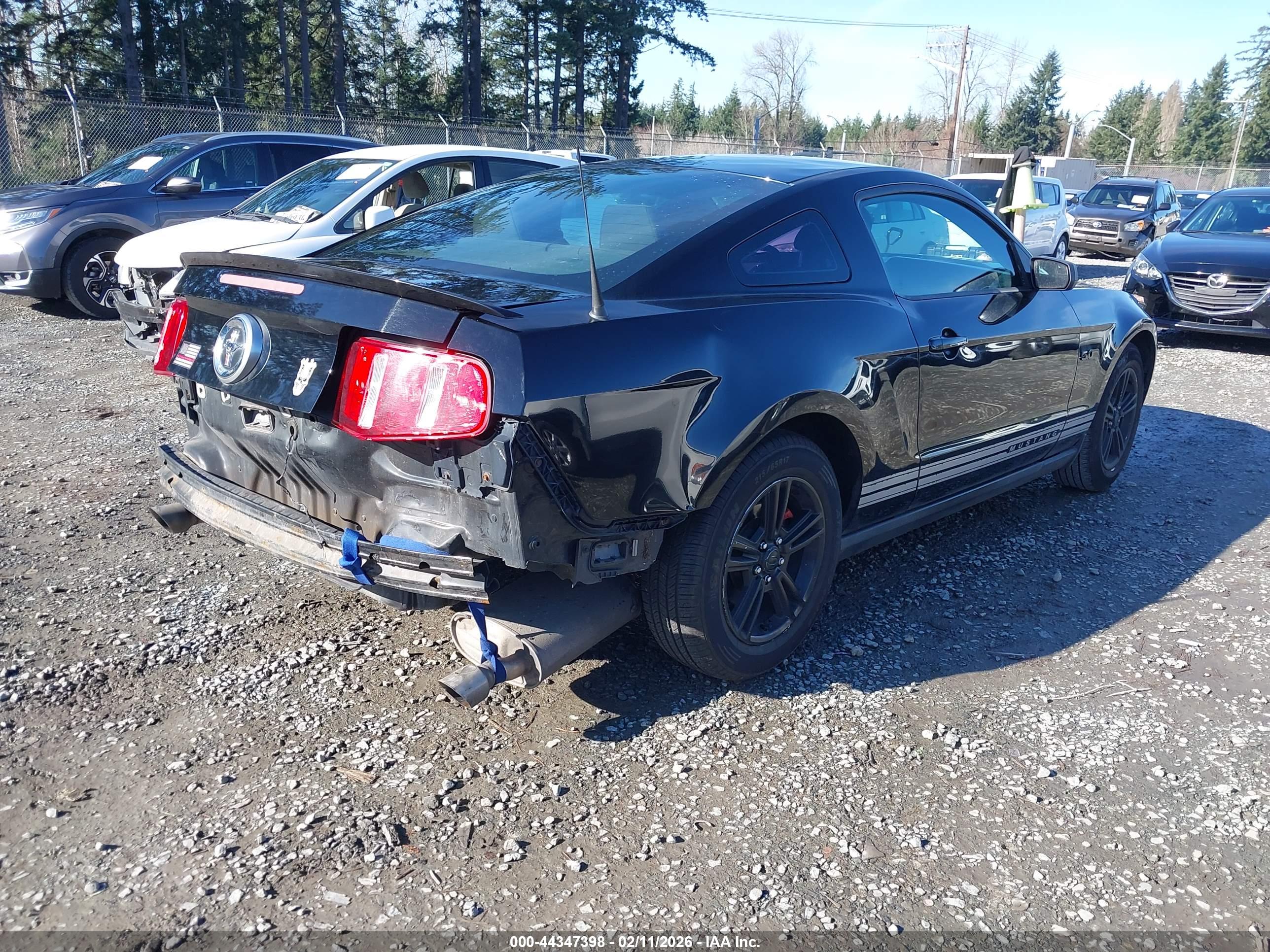 FORD MUSTANG image 4