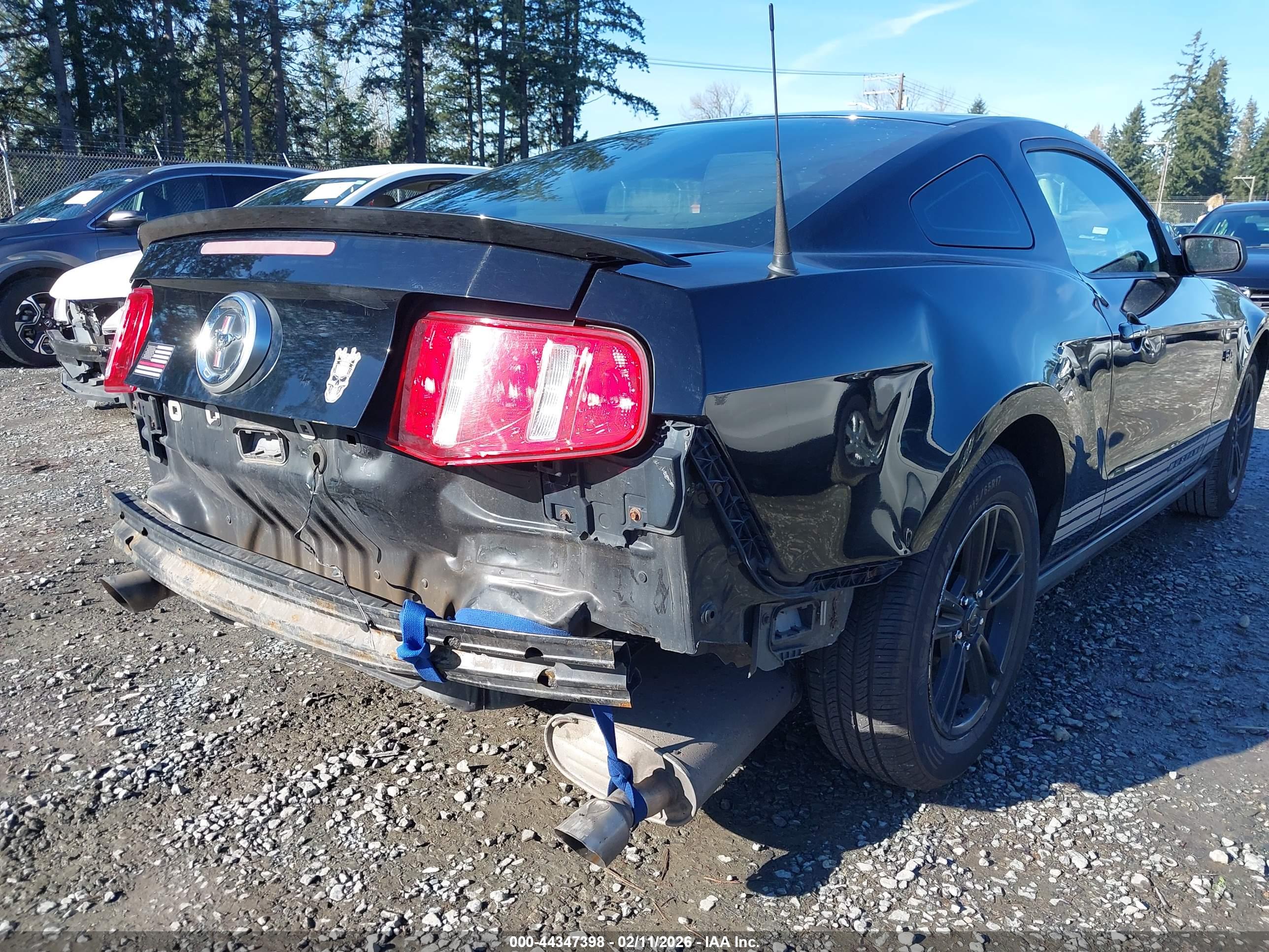 FORD MUSTANG image 6